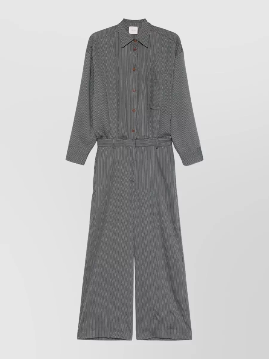 Alysi Pinstriped Long Jumpsuit
