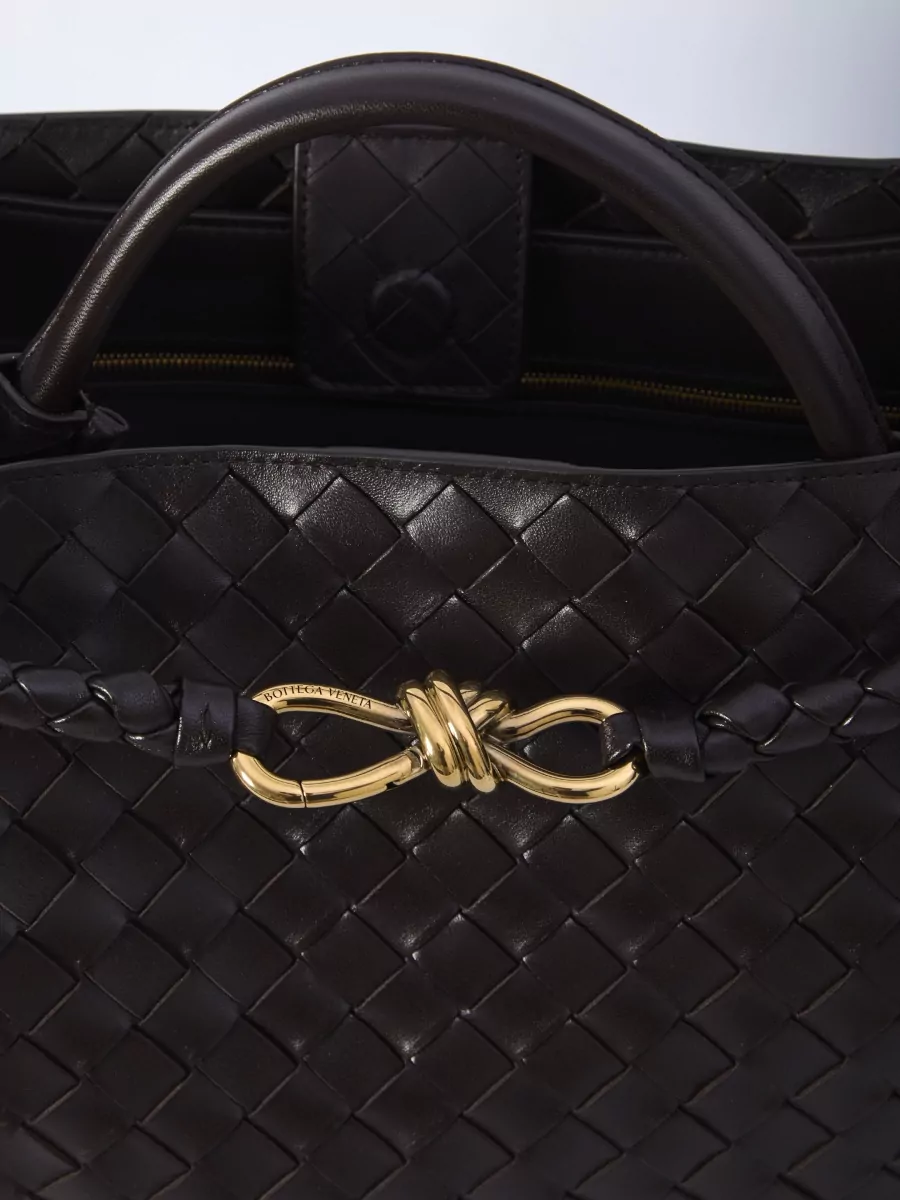 Bottega Veneta Andiamo Medium Leather Tote Bag