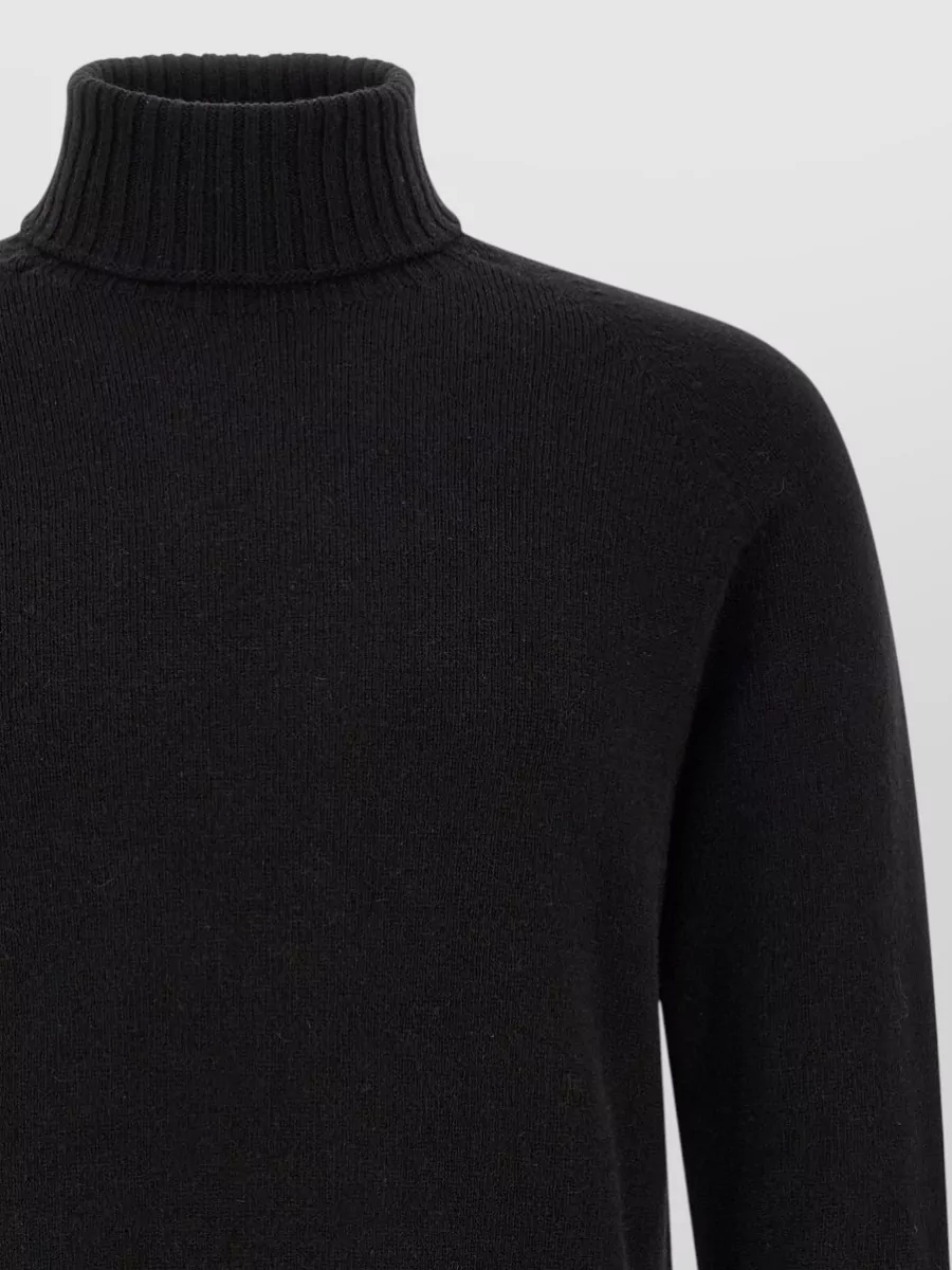 Ma'ry'ya Cashmere Wool Ribbed Turtleneck Jumper