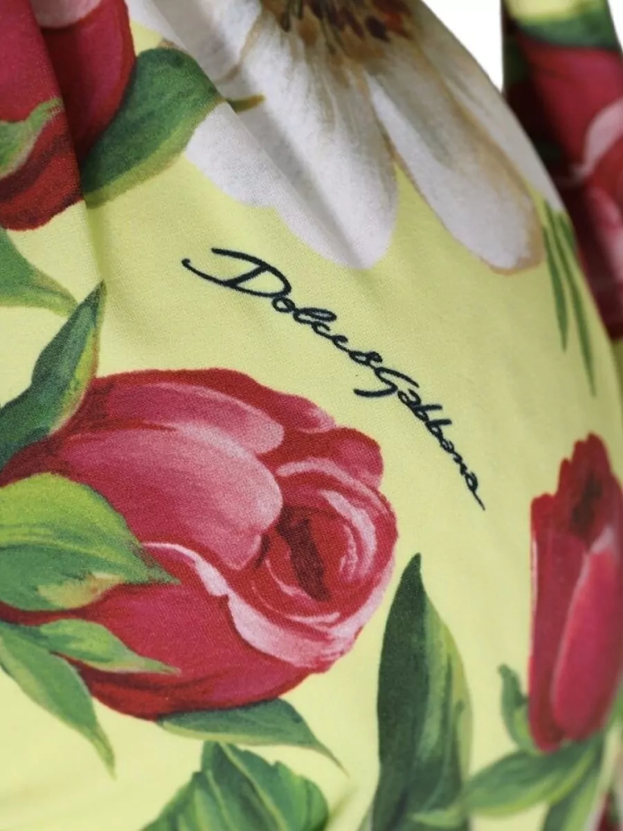 Dolce&Gabbana Floral Halterneck Bikini Top