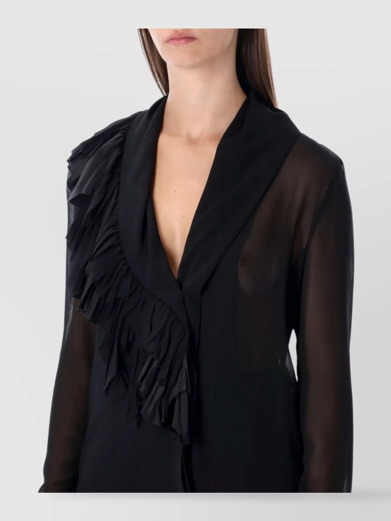 Alberta Ferretti Sheer Silk Georgette Long Sleeve Top