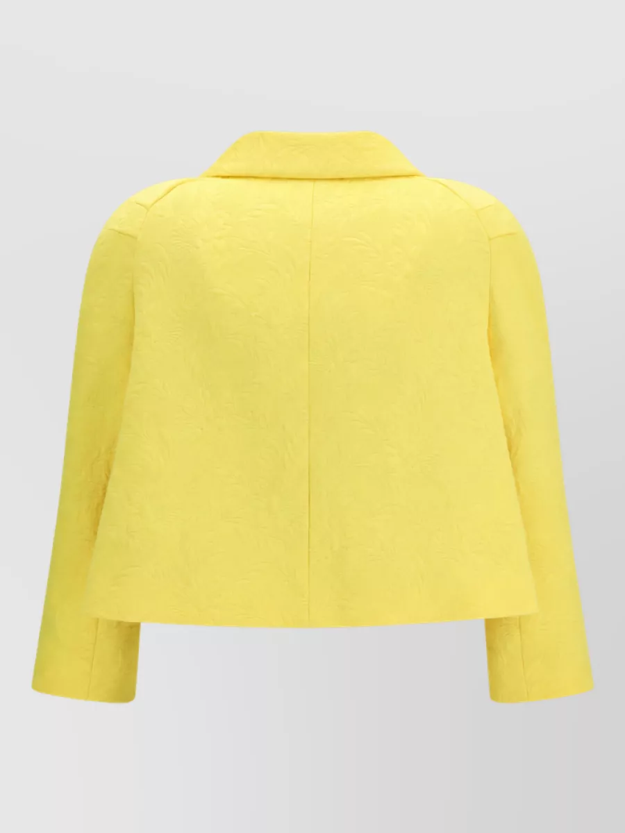 Dries Van Noten Cropped Double-Breasted Jacket