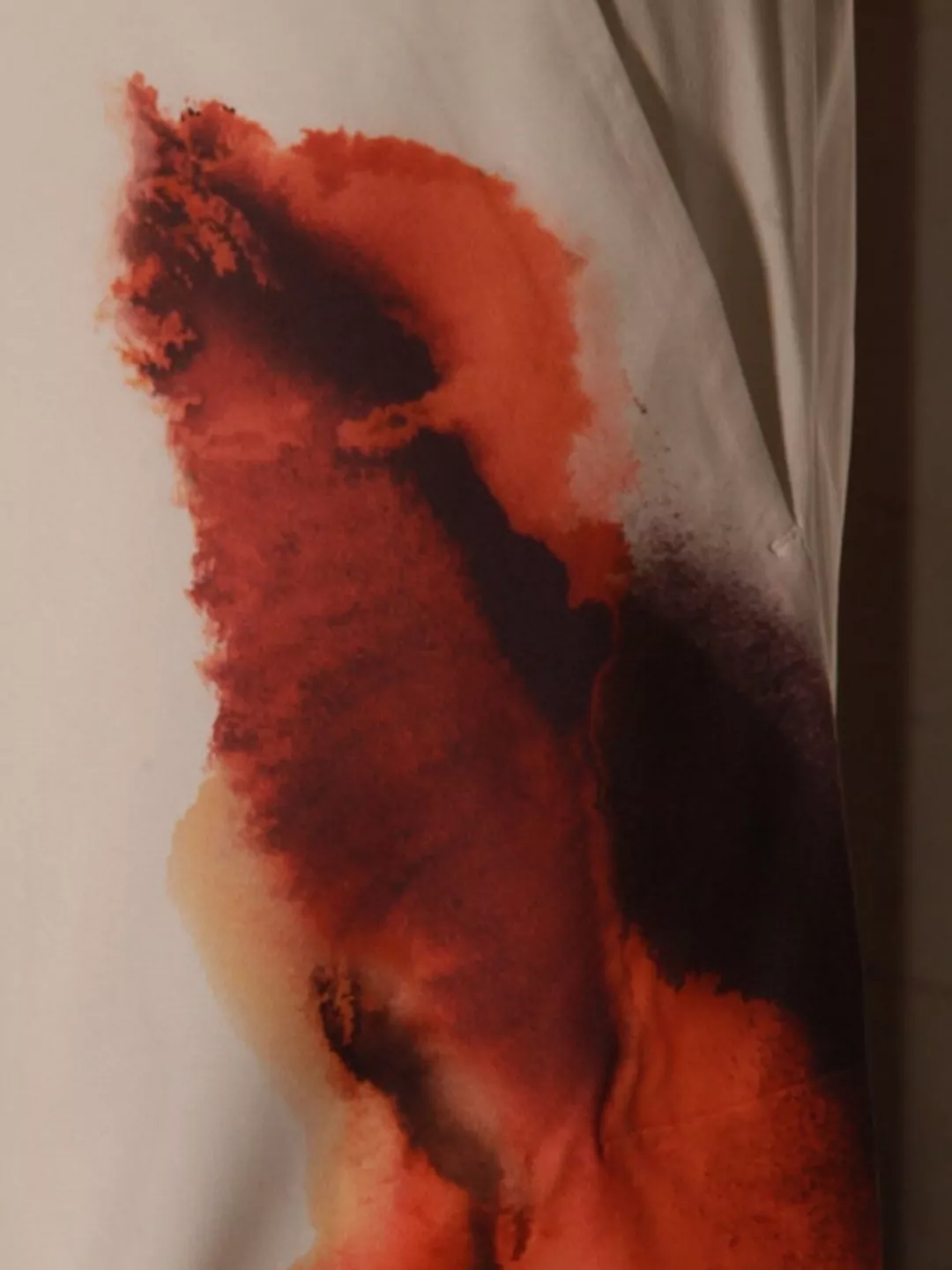 Y-3 Graphic Print Shorts Featuring Elastic Waistband