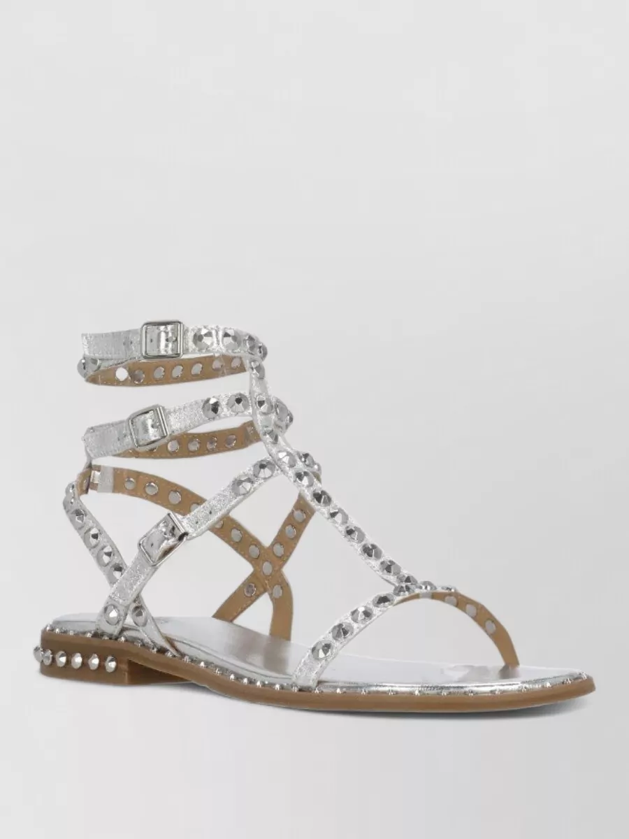 Ash Leather Studded Flat Sandals