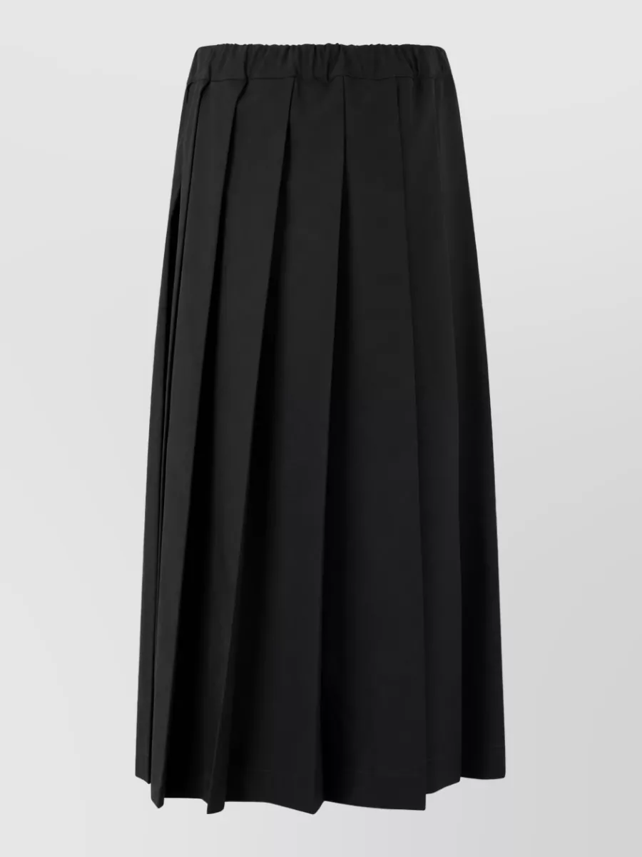 Fabiana Filippi High-rise pleated maxi skirt