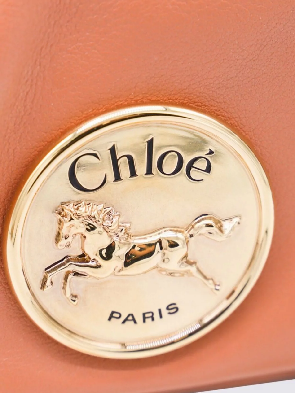 Chloé Chain Strap Shoulder Bag