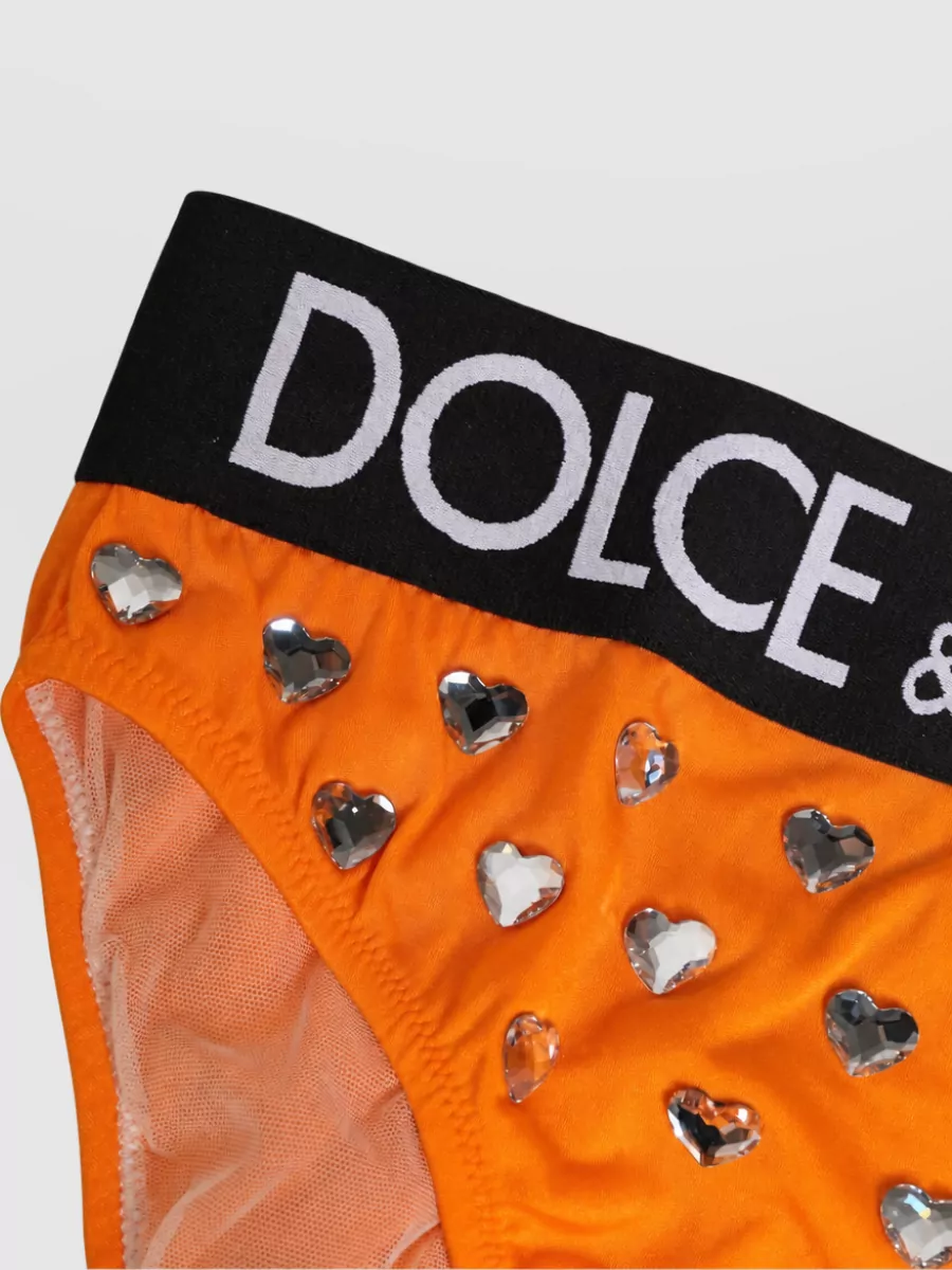 Dolce&Gabbana Crystal High-Waist Bikini Briefs