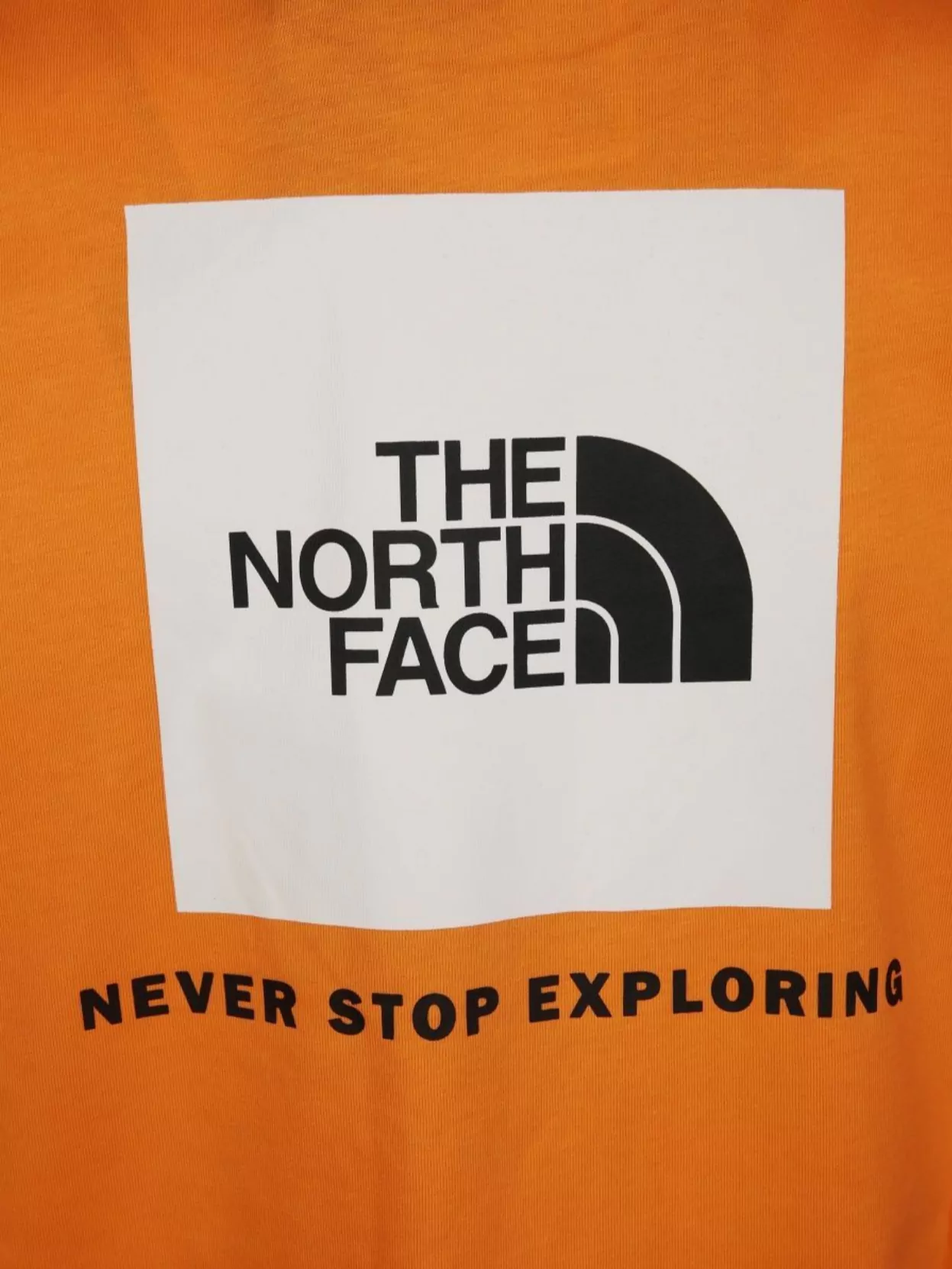 The North Face Crew Neck Graphic Print T-Shirt