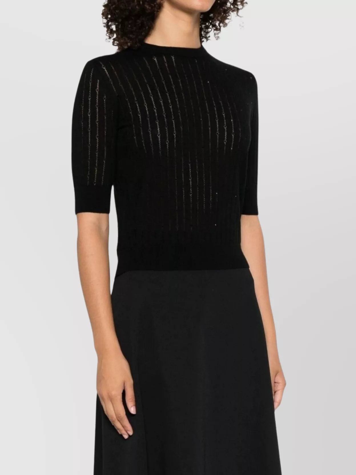 Max Mara Crewneck Metallic Thread Knitwear Sheer Short Sleeves In Black
