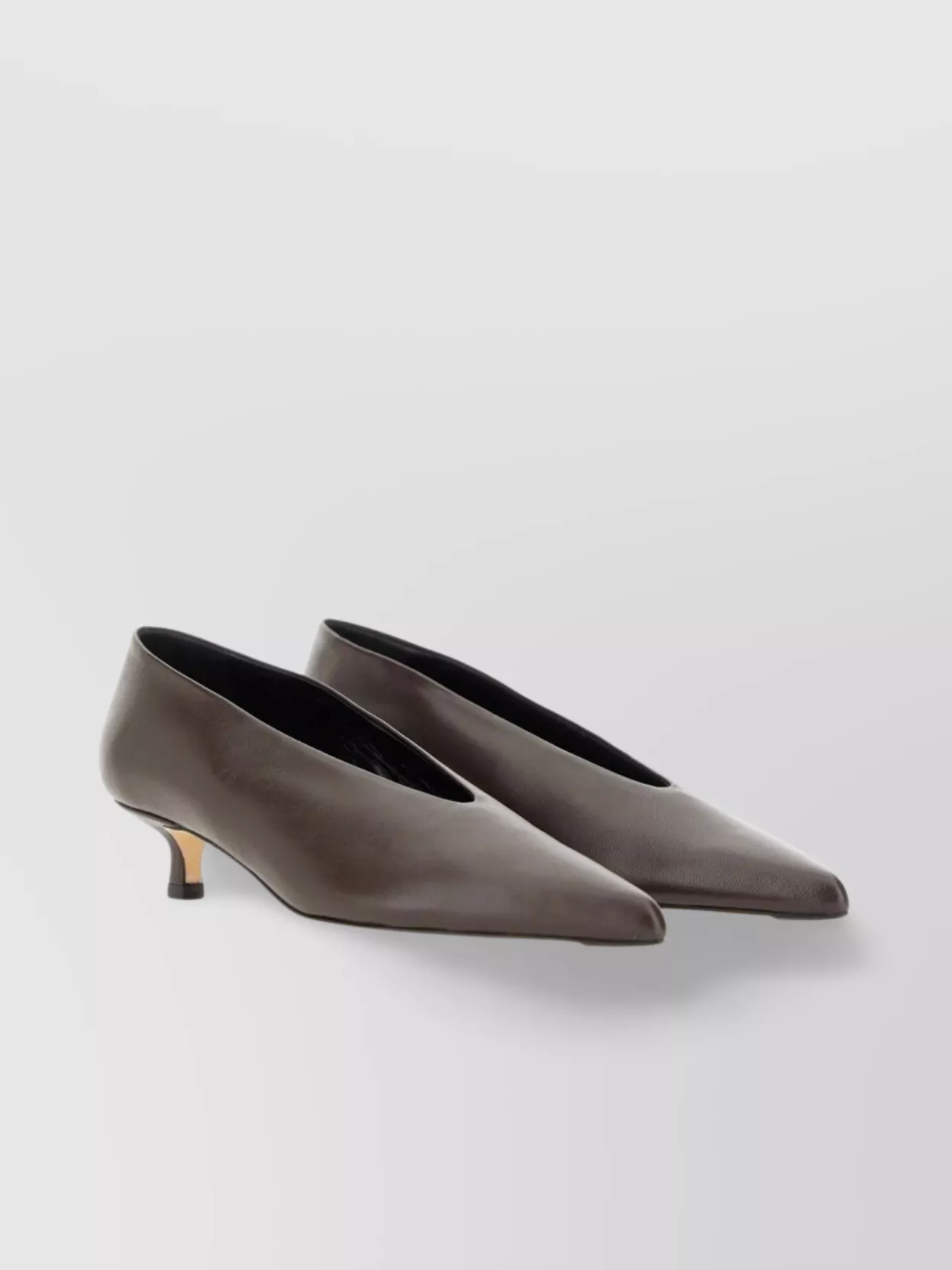 Aeyde "clara" Kitten Heel Pointed Toe Pumps