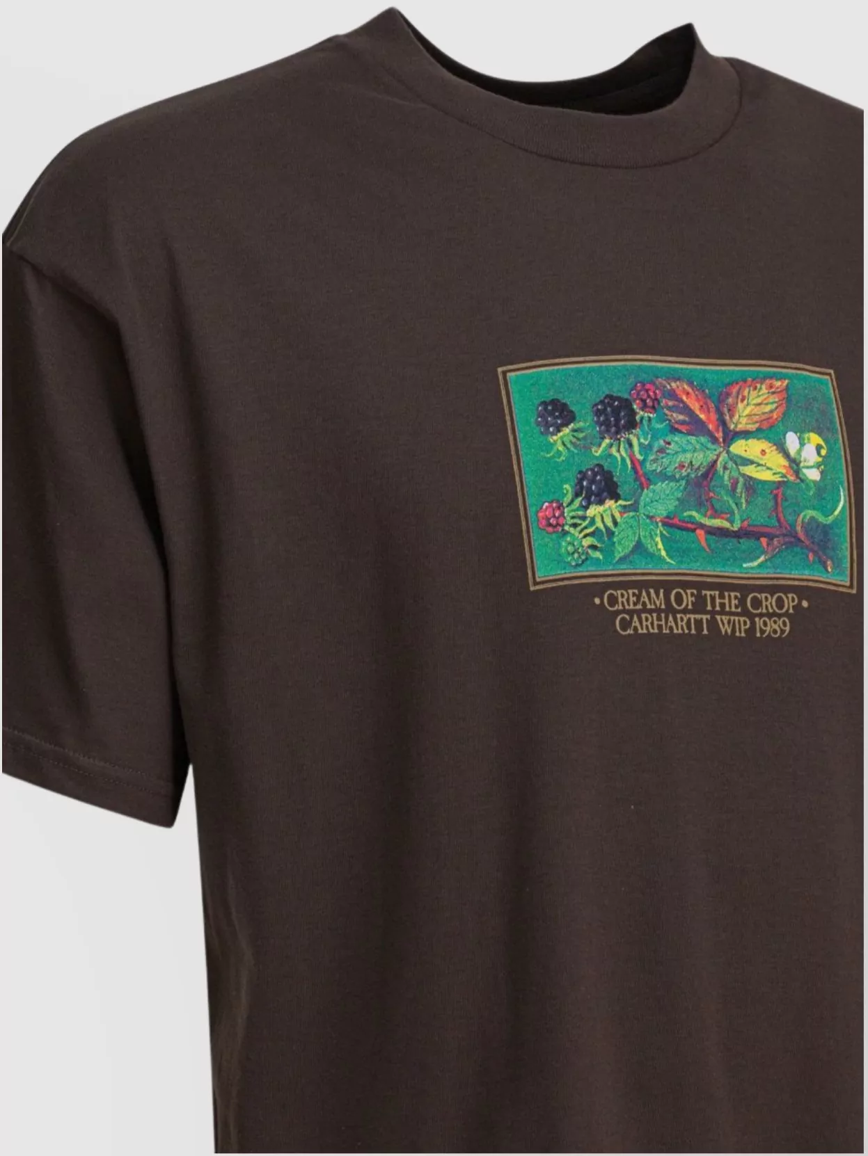 Carhartt Wip Short Sleeve Graphic Print Crew Neck T-Shirt