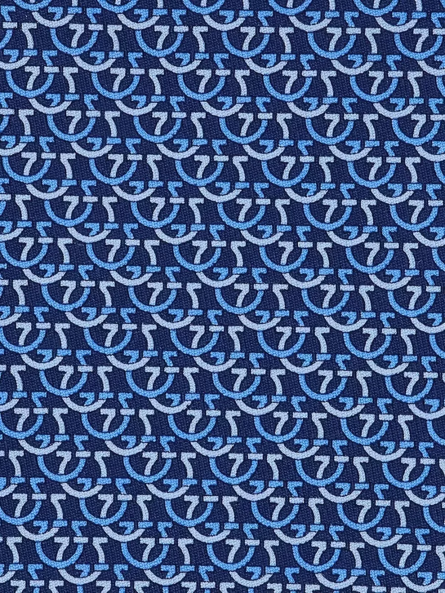 Ferragamo Silk Printed Tie