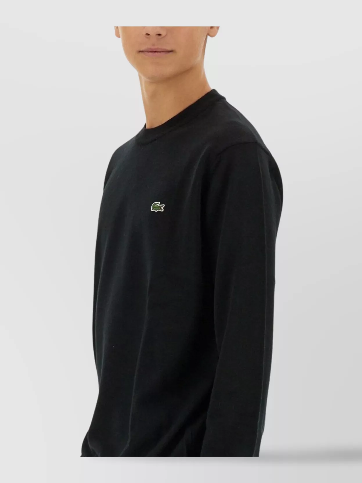 Lacoste Logo Crew Neck Sweater