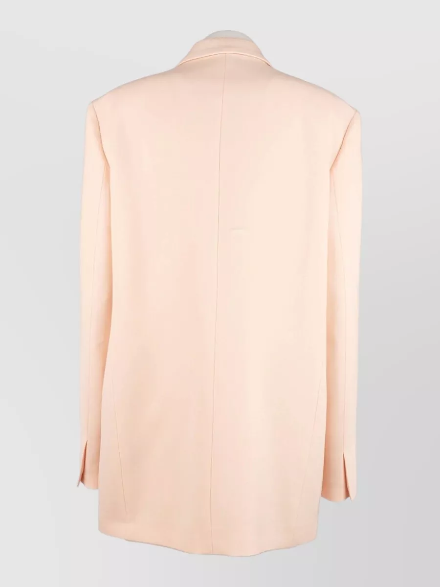 Alberta Ferretti Blazer