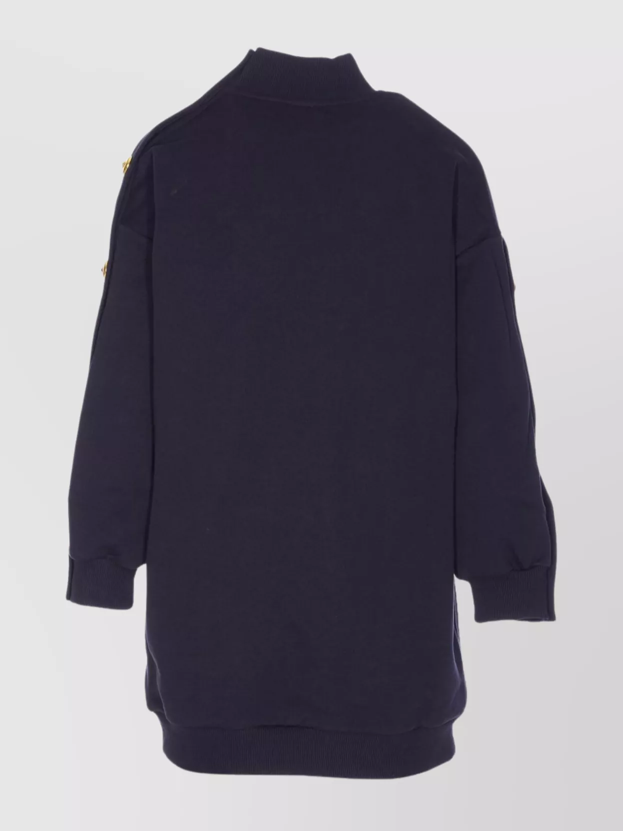 Pinko Crewneck Sweatshirt With Mock Neck And Buttons In Blue