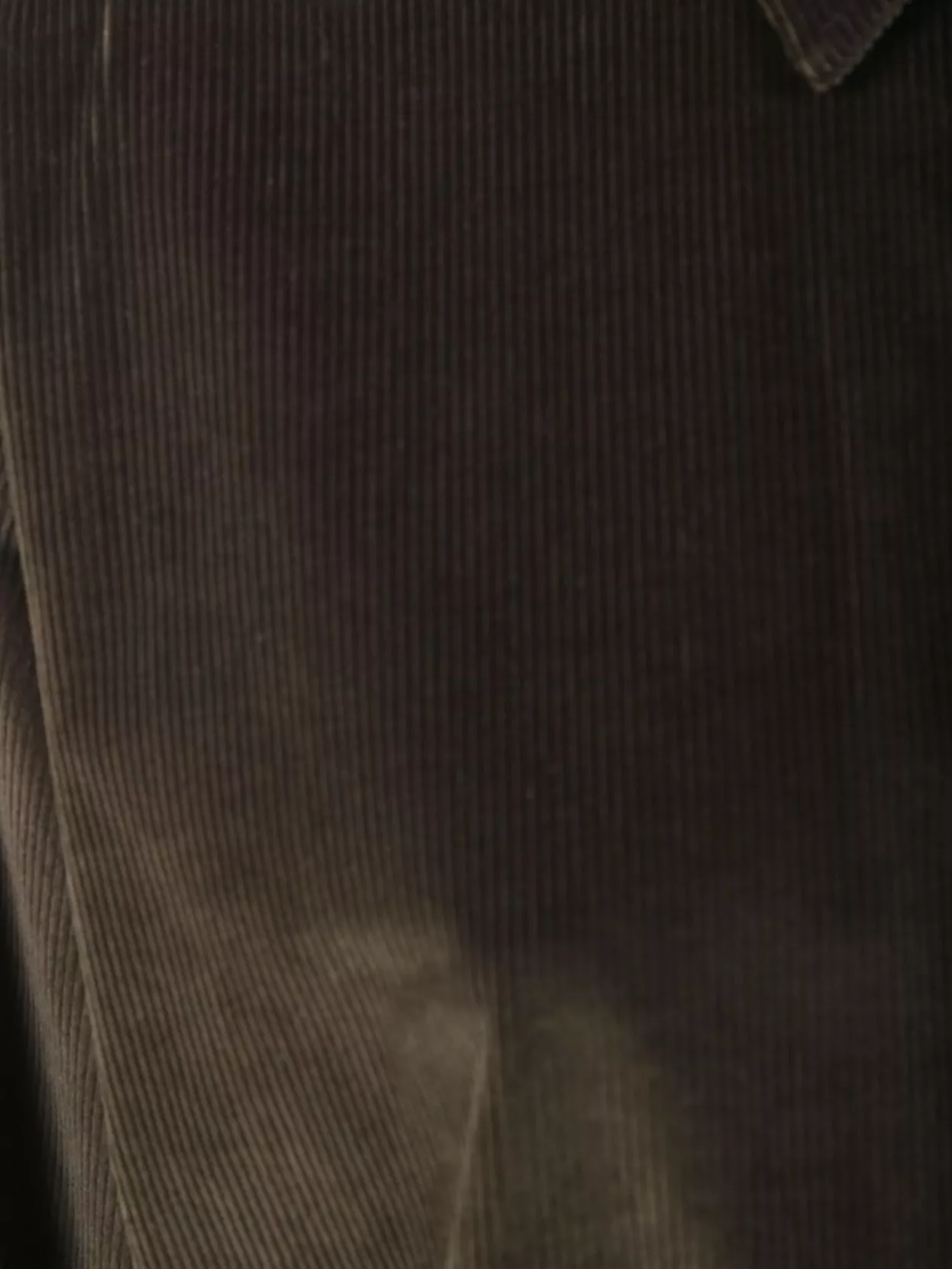 Max Mara Velvet Bodysuit Collared Neck