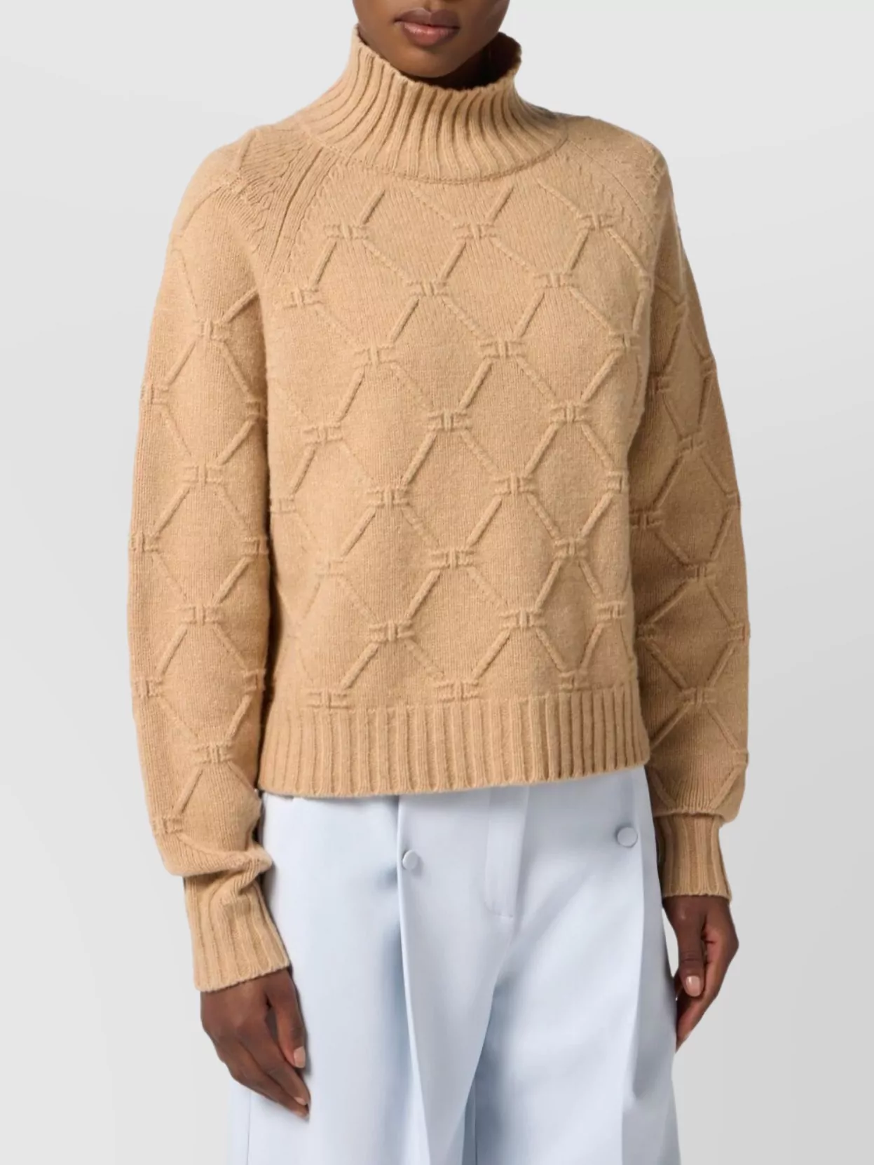 Elisabetta Franchi Textured Knit Mock Neck Top With Long Sleeves
