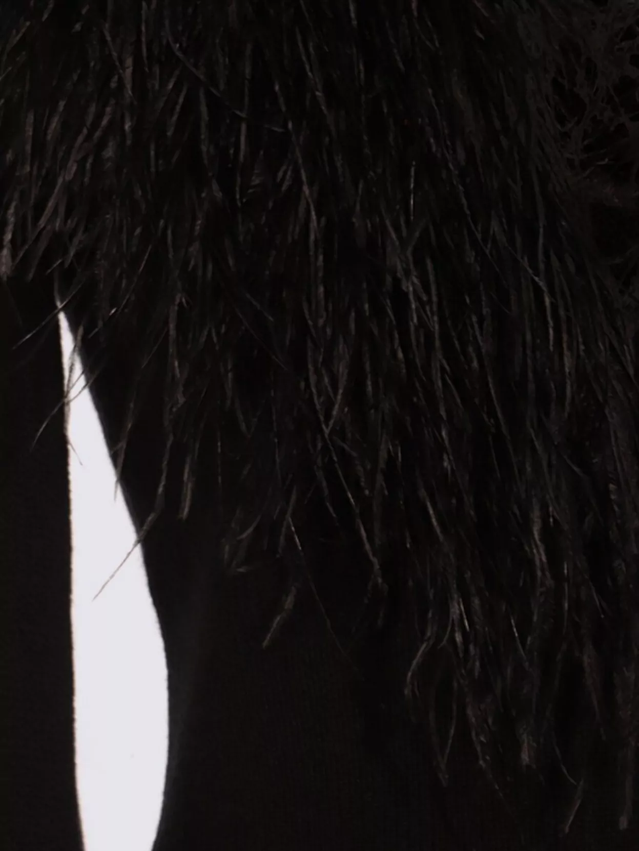 Blumarine Feather Trim Crewneck Knitwear