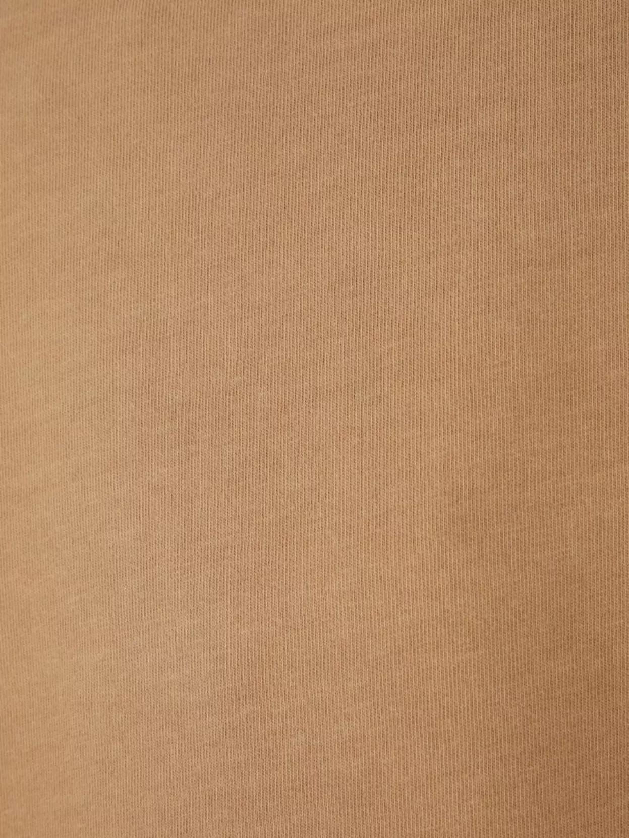 Sportmax Beige Cotton Valico T-shirt In Neutrals