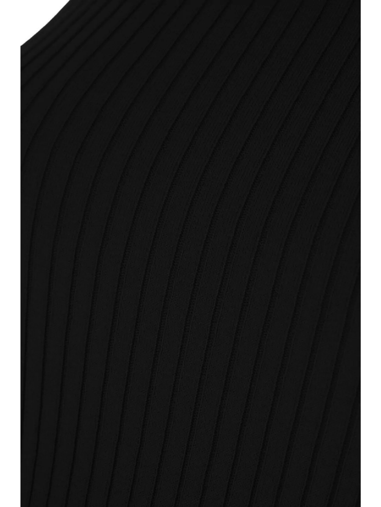Sportmax Cotton Sleeveless Ribbed Mock Neck Top In Black
