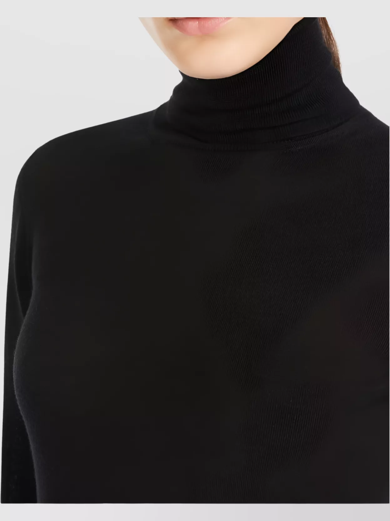 Max Mara Adda Cashmere Yarn Turtleneck