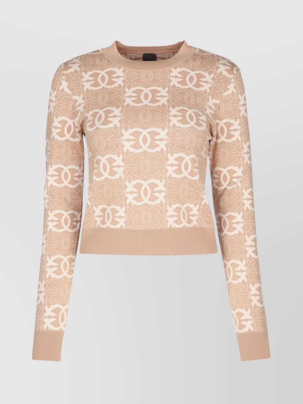 Pinko Jacquard Viscose Blend Crewneck Sweater In Brown