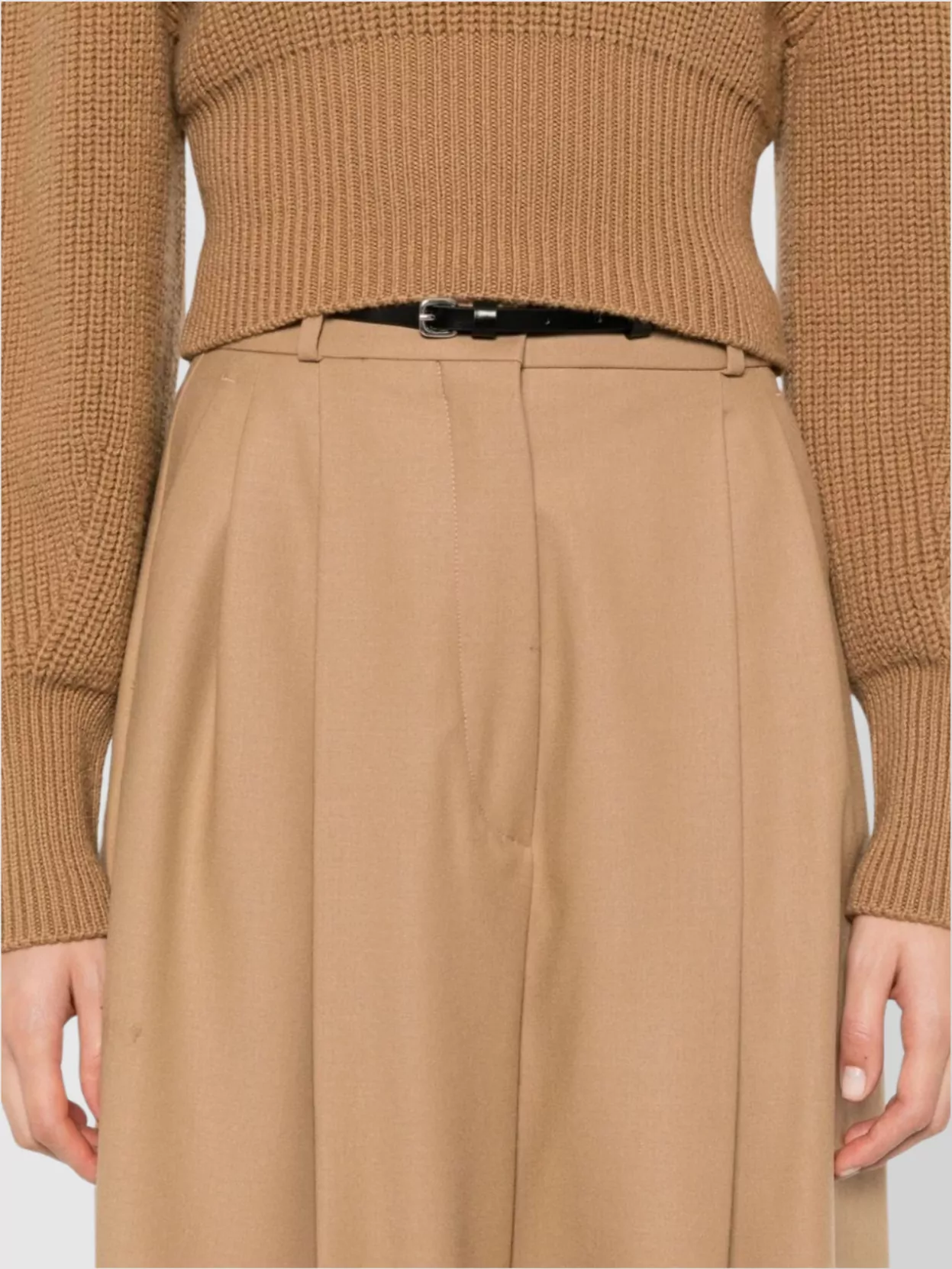 Sportmax High Waist Wide Leg Trousers With Pleats