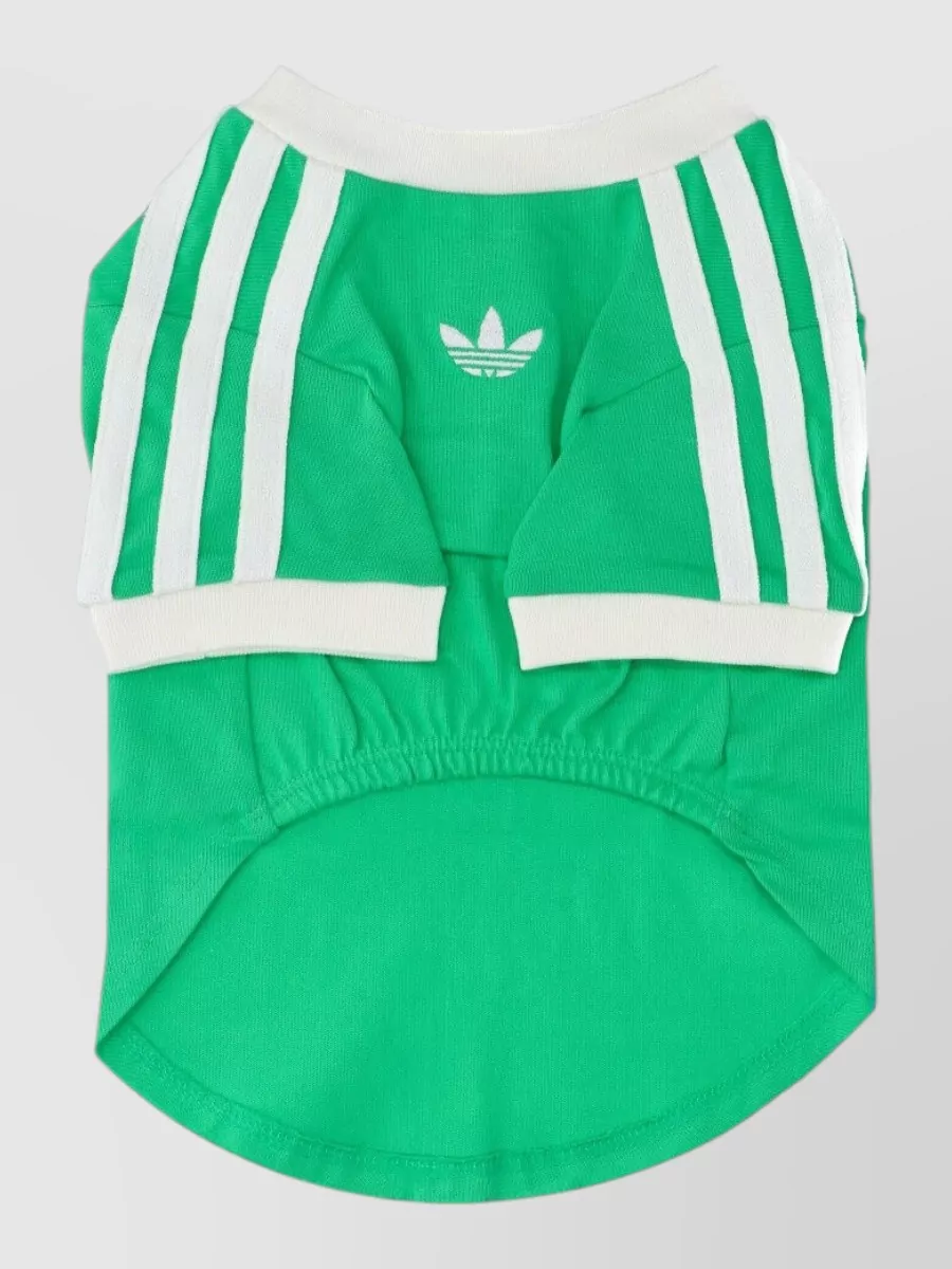 Adidas t-shirt