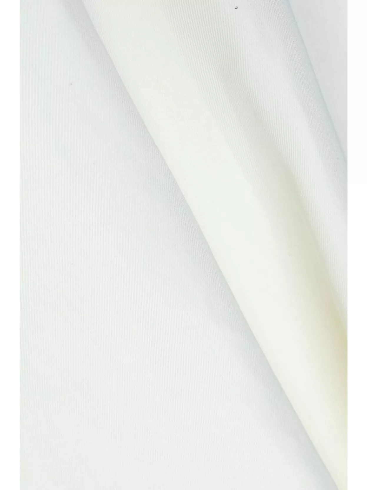 Fabiana Filippi High-Waisted Flared Mid-Length Skirt
