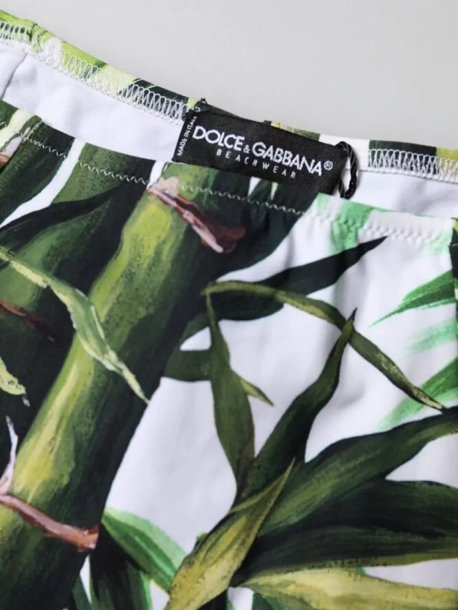 Dolce&Gabbana Leaf Print High-Waisted Bikini Briefs