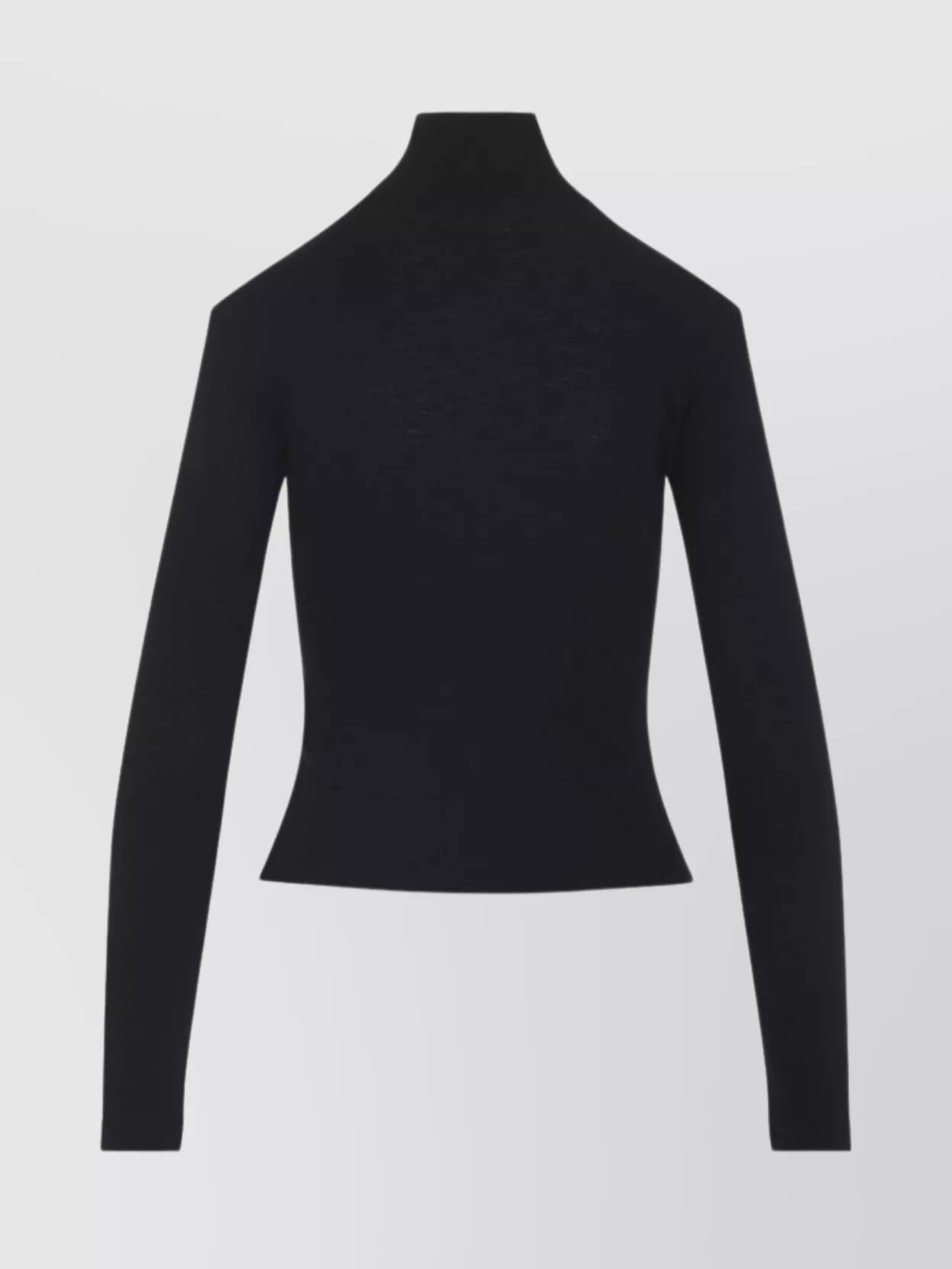Celine Long Sleeve Slim Fit Turtleneck Top In Black