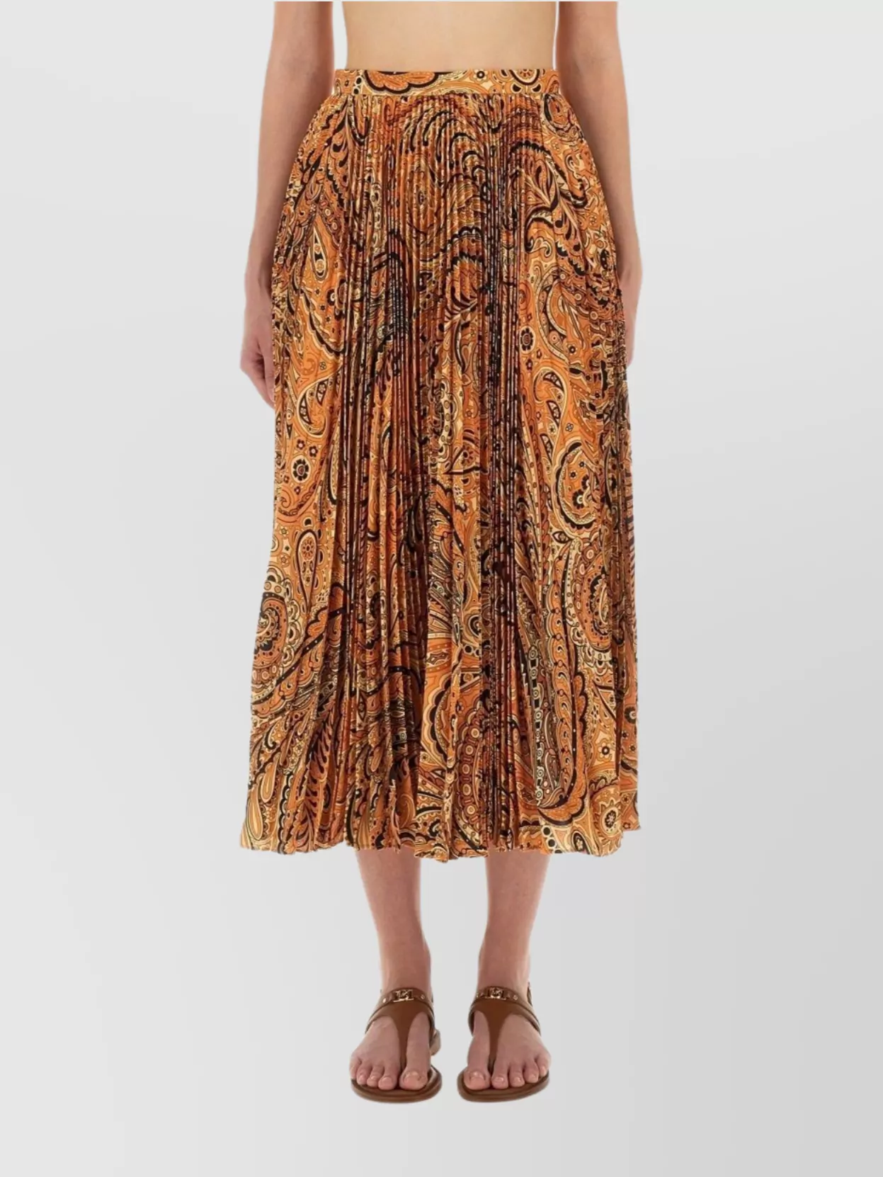 Etro Pleated Paisley Midi Skirt In Brown