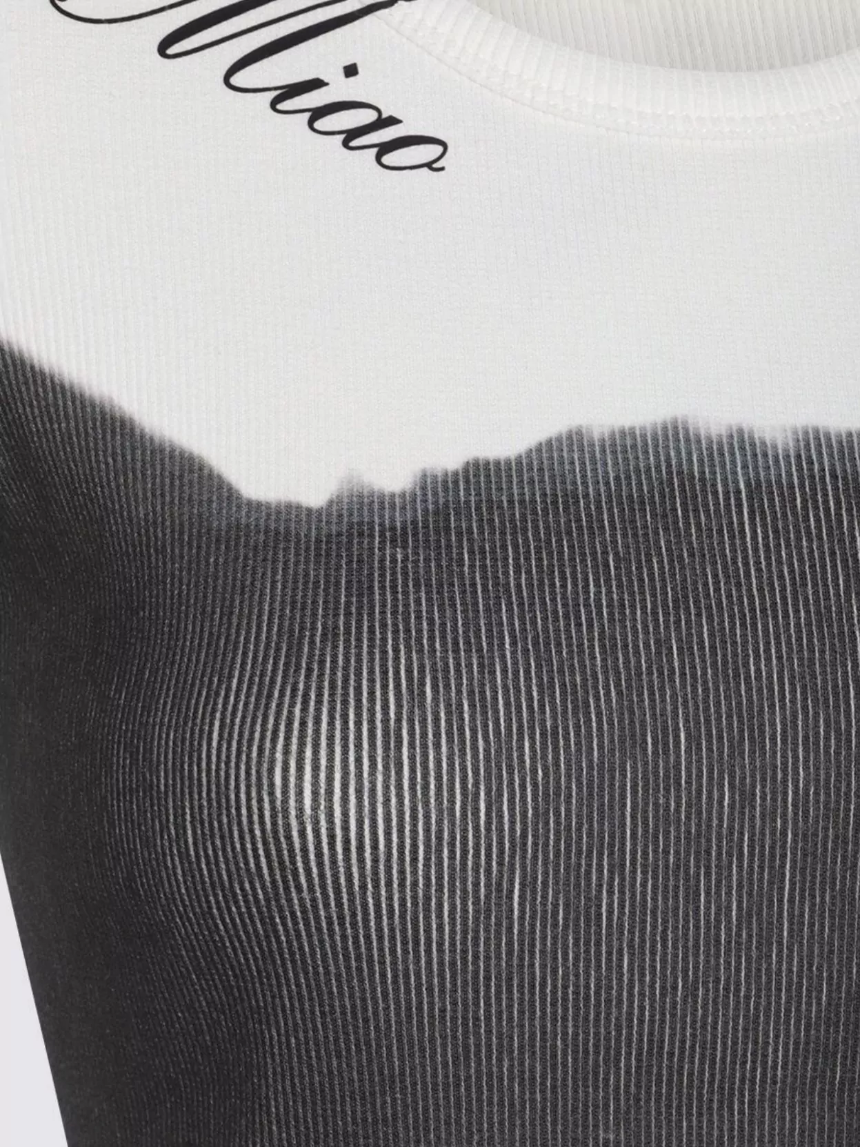 Blumarine Crew Neck Graphic Print Ribbed Texture Top