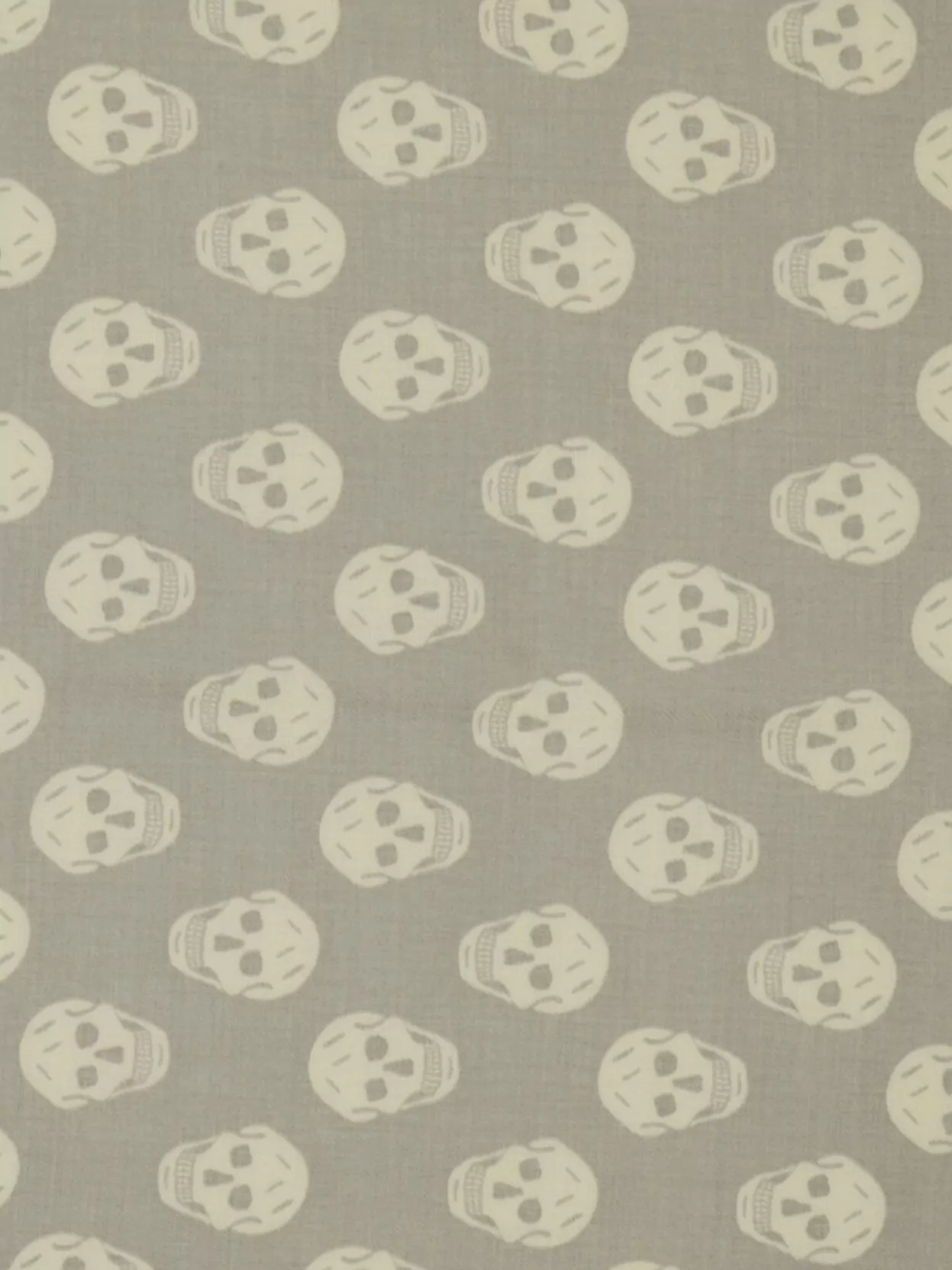 Alexander Mcqueen Wool Scarf With Fringed Edges And Skull Pattern