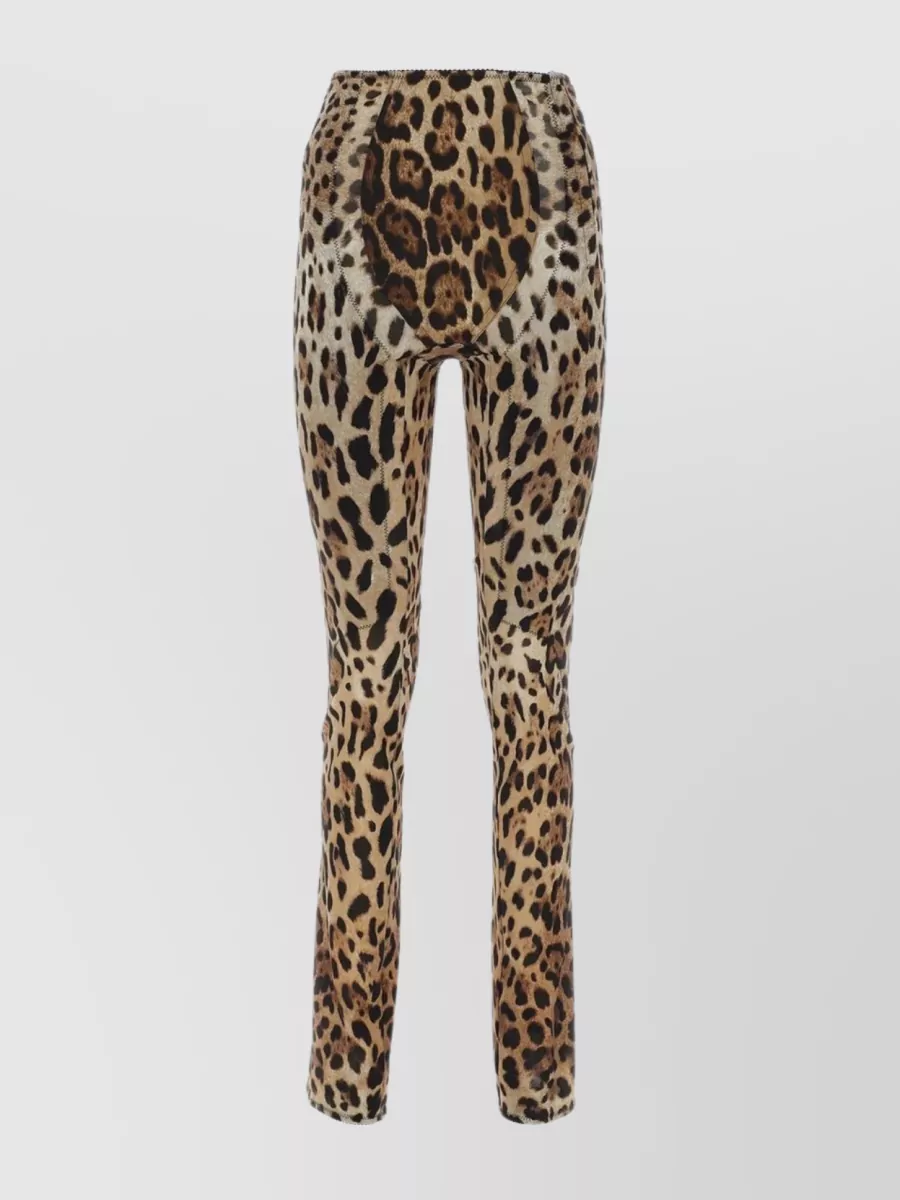 Shop Dolce & Gabbana Leopard Stretch Marquisette High Waist Pant In Brown