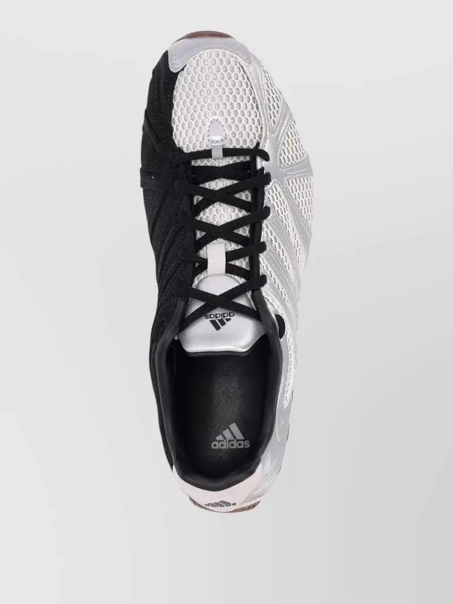 Adidas Low Top Sneakers