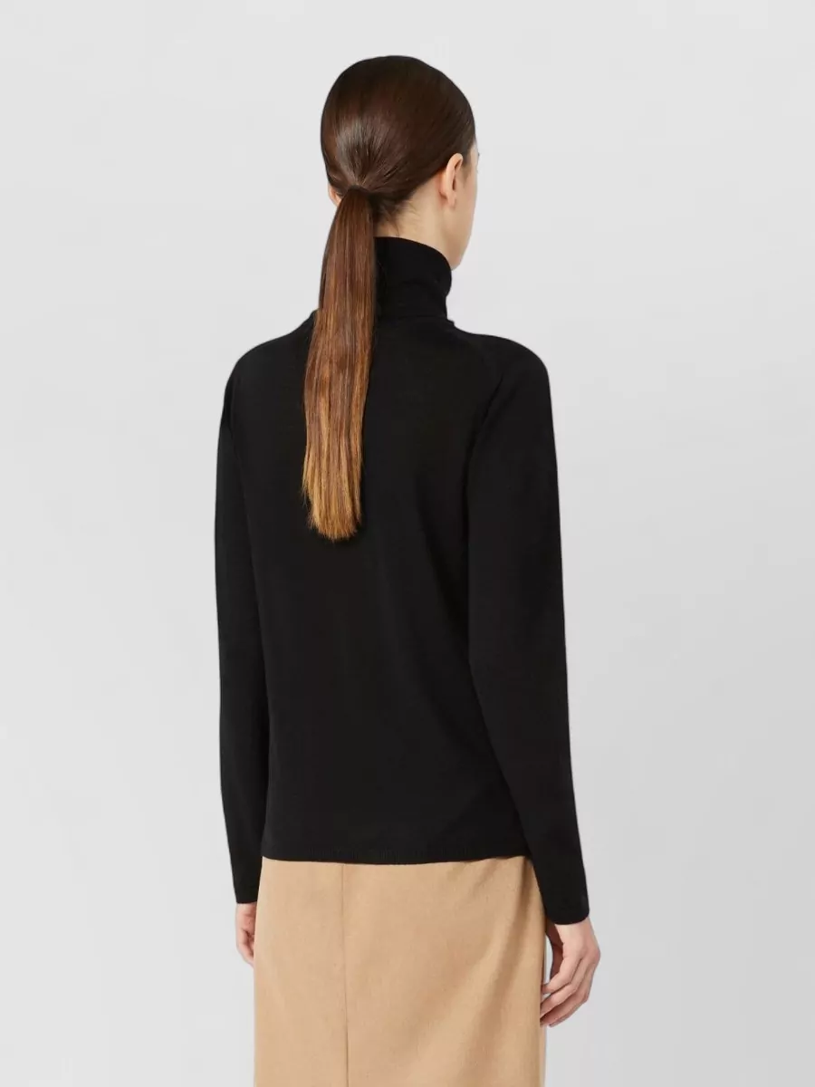 Max Mara Wool Turtleneck Fine-Knit Sweater