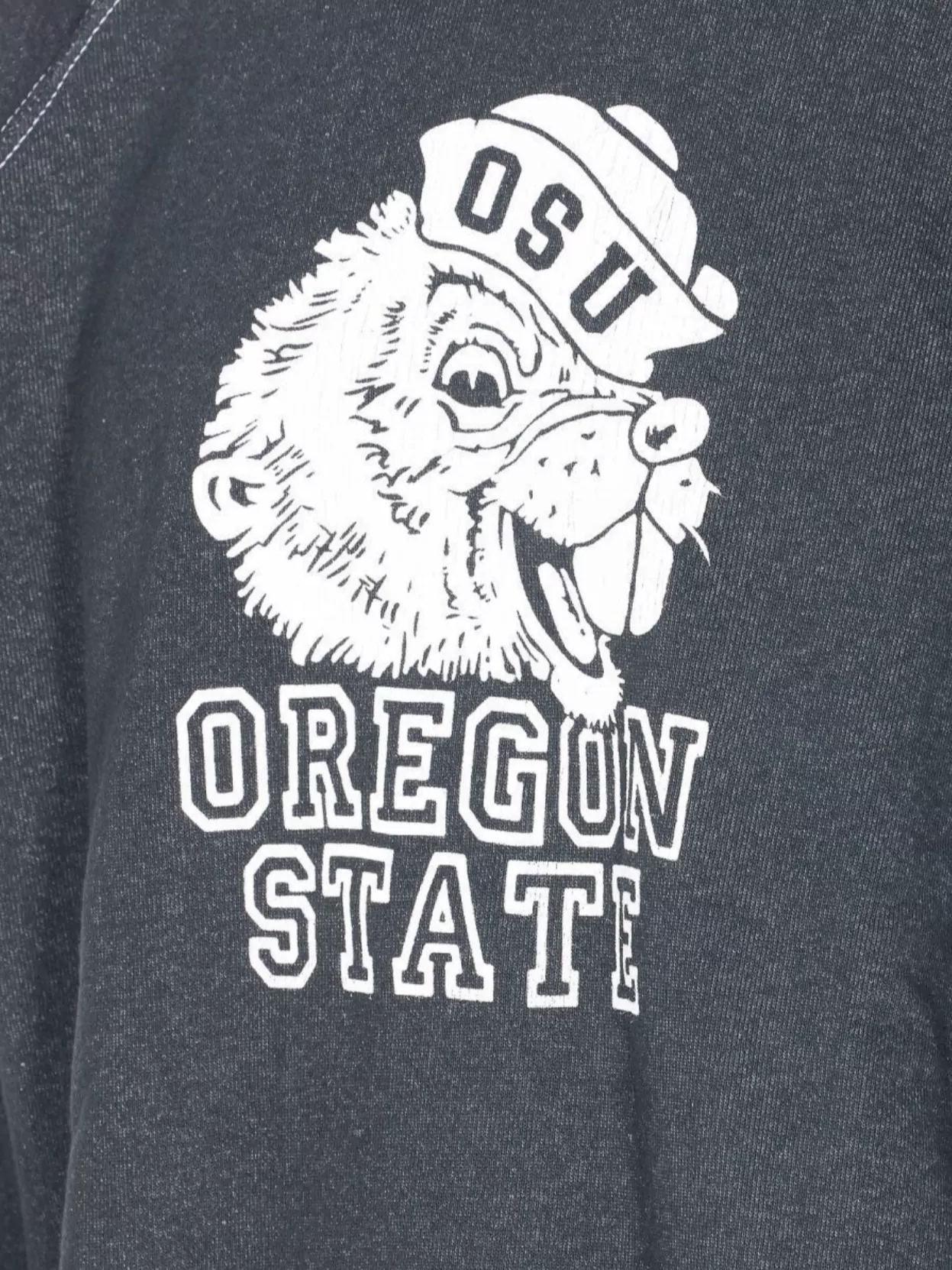 Wild Donkey Graphic Print Crewneck Long Sleeve Sweatshirt