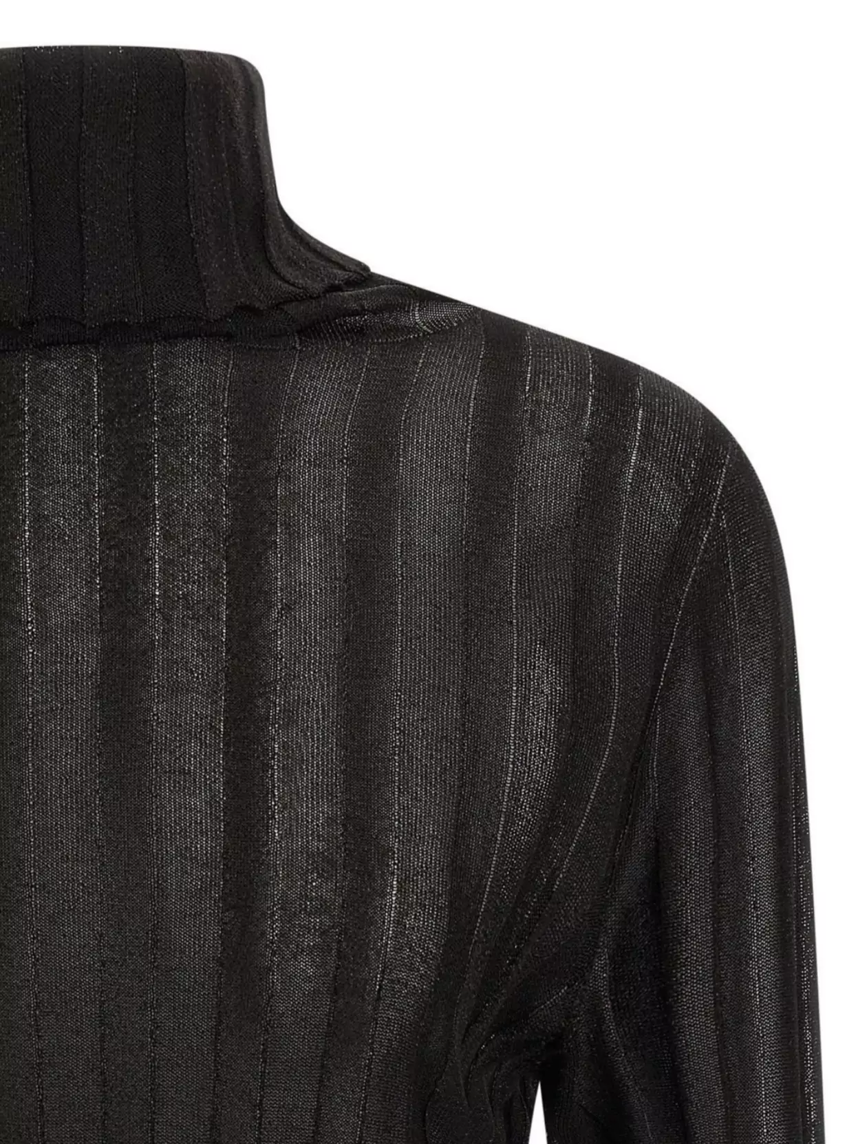 Fabiana Filippi Turtleneck Sweater With Ribbed Sheer Fabric In Black