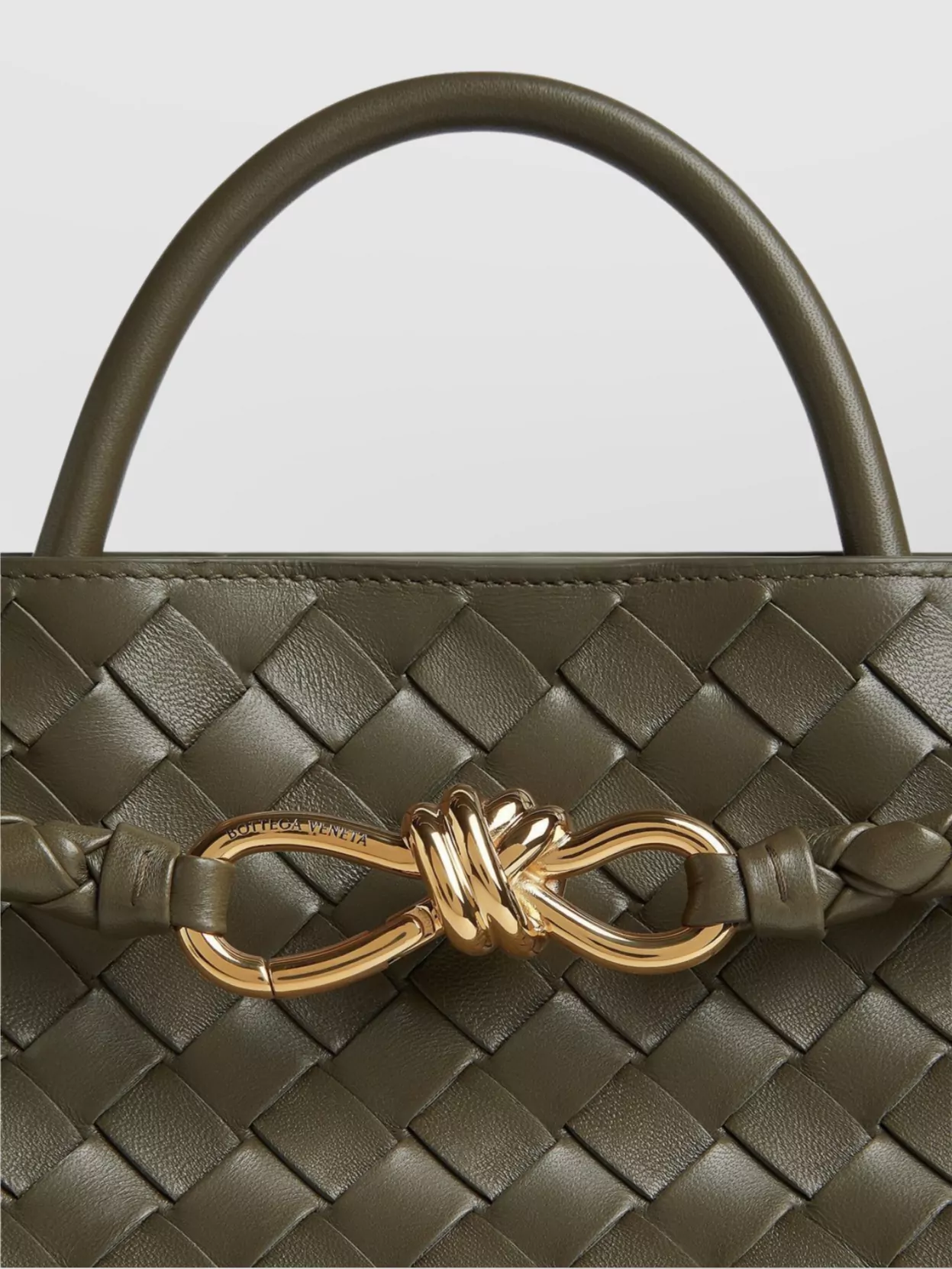 Bottega Veneta Medium Andiamo Tote Bag