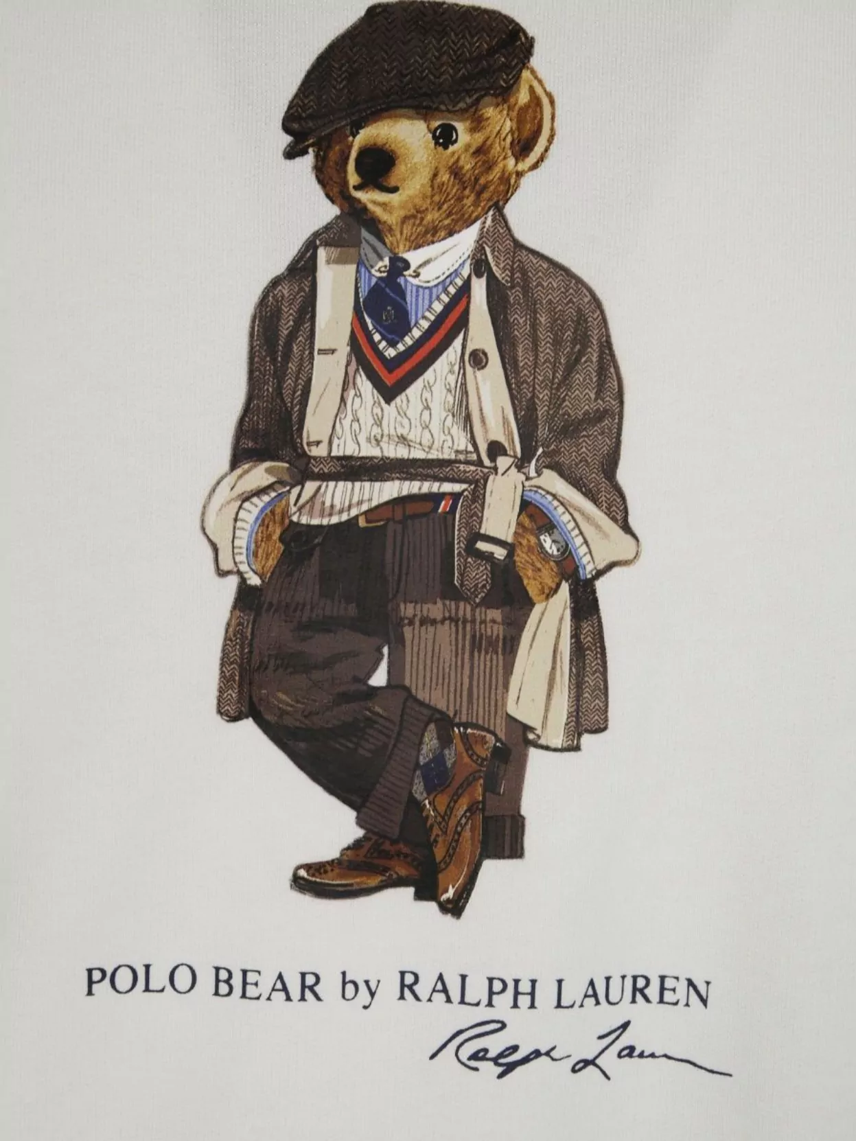 Polo Ralph Lauren Hooded Graphic Print Sweater