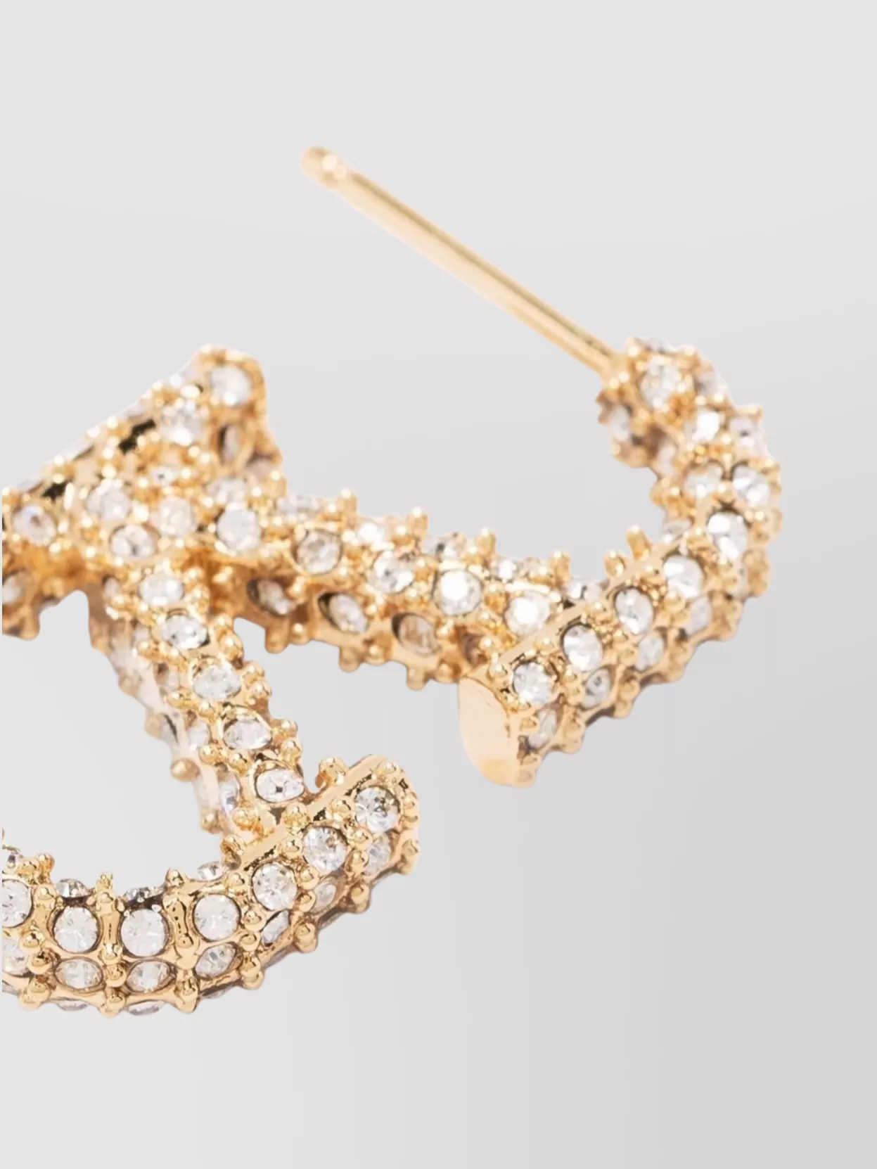 Valentino Garavani Vlogo Hoop Crystal Earrings Pair