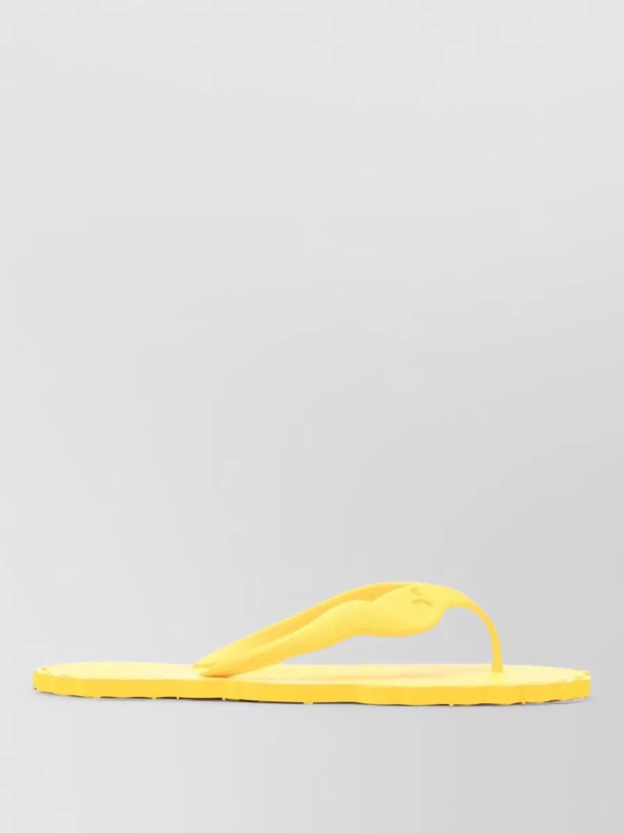 Zimmermann Thong sandals