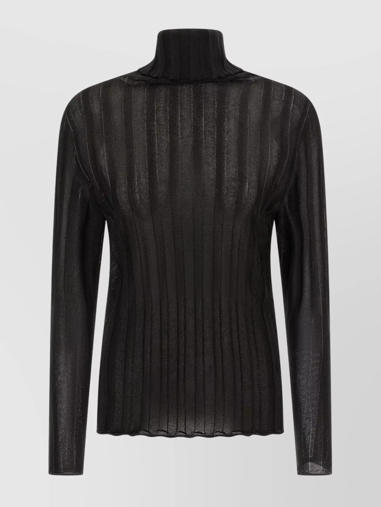 Fabiana Filippi Turtleneck Sweater With Ribbed Sheer Fabric In Black