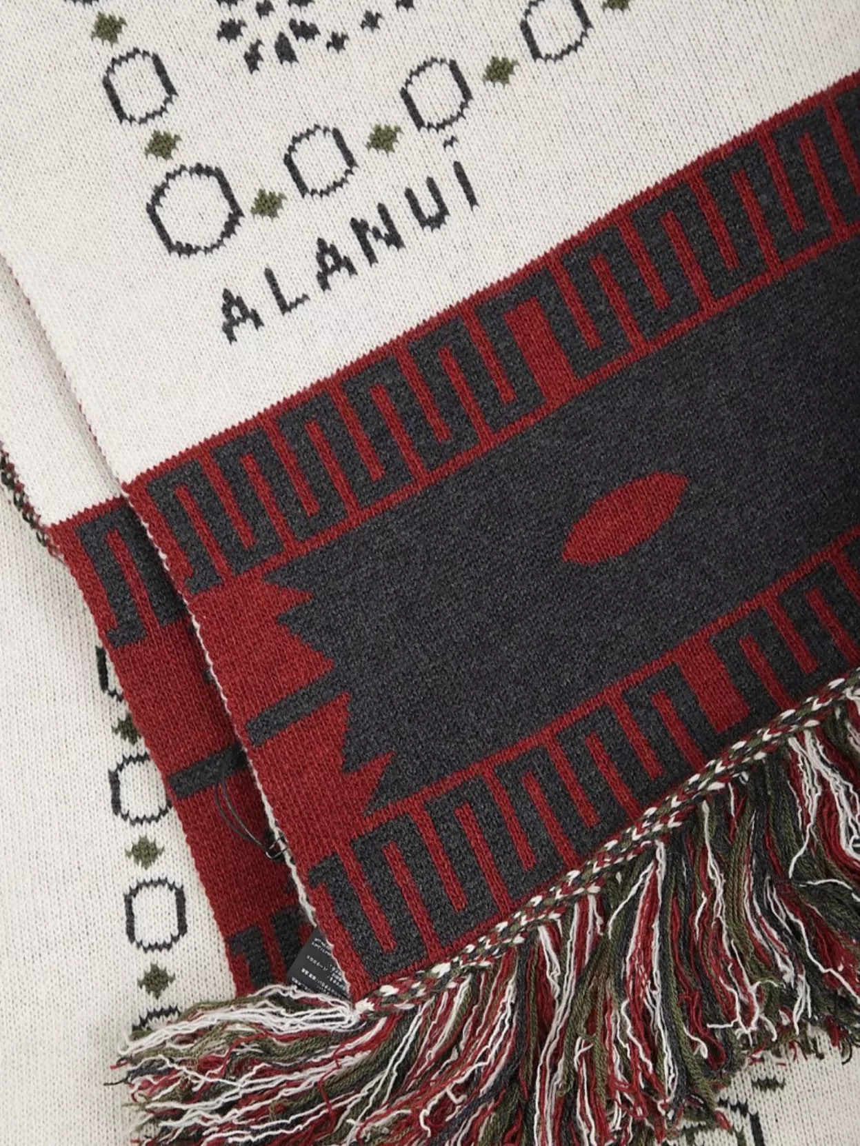 Alanui Rectangular Jacquard Scarf Fringe Detail