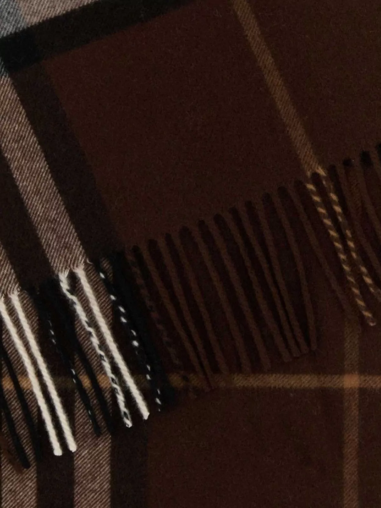 Burberry Cashmere Scarf With Embroidered Check Pattern And Fringe Detail