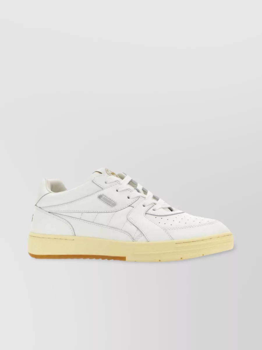 Shop Palm Angels University Sneakers With Leather Collar And Perforated Sole In Cream