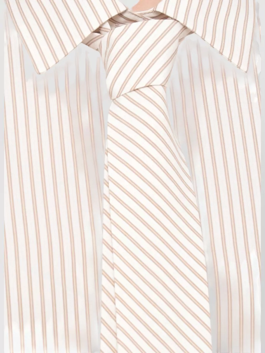 Antonelli Firenze Striped Cotton Shirt