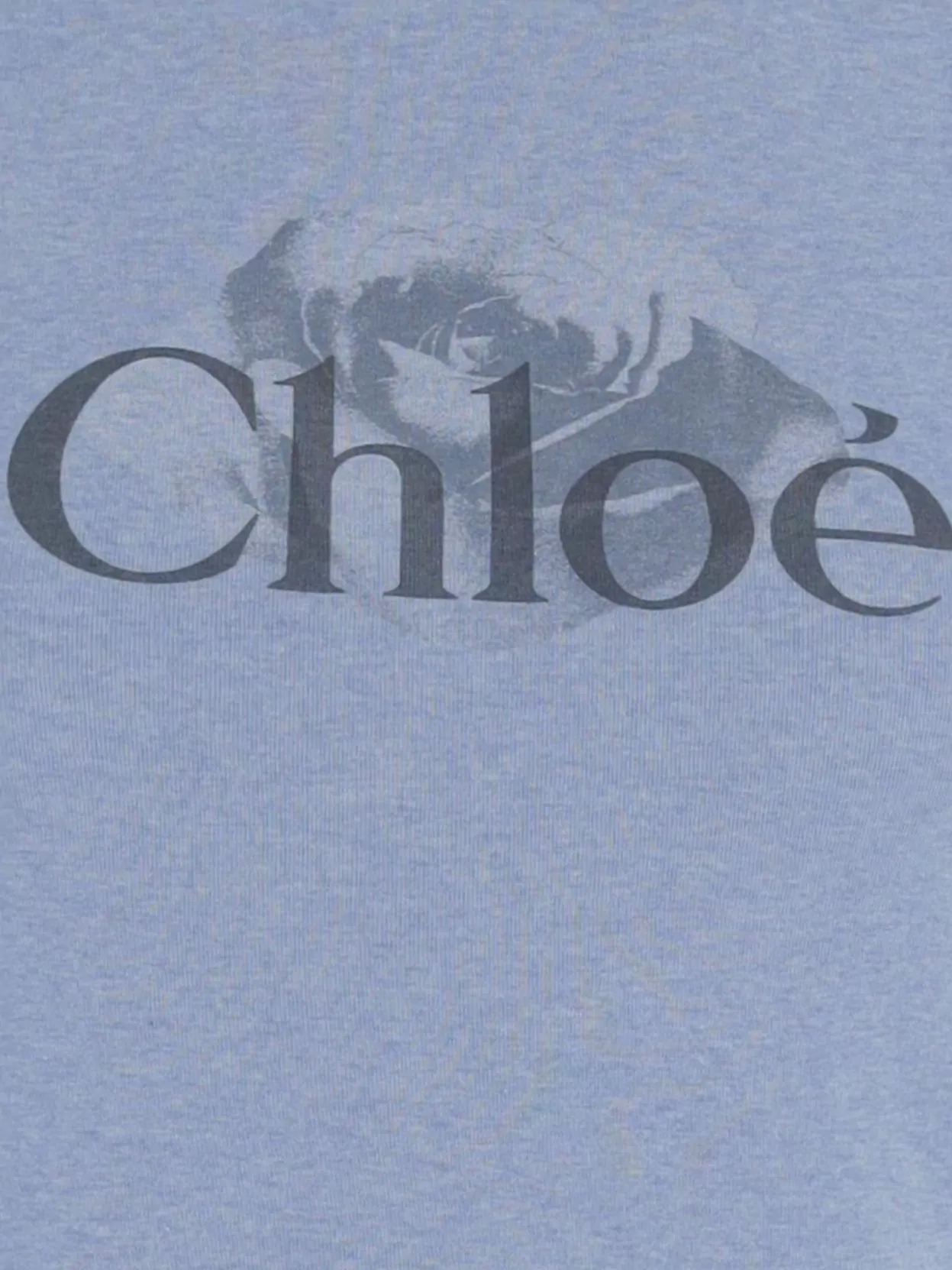 Chloé Short Sleeve Crew Neck T-Shirt With Trim