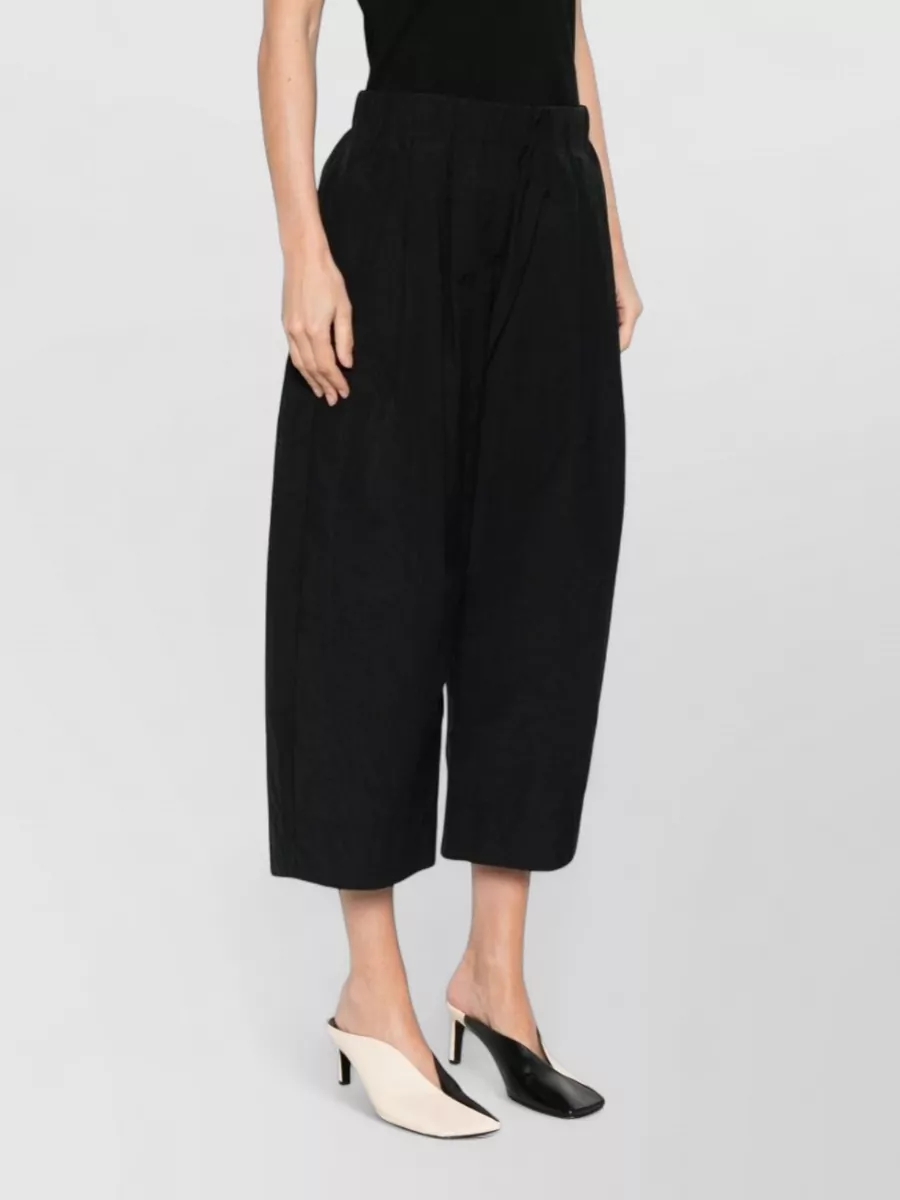 Apuntob Pleated Wide-Leg Trousers